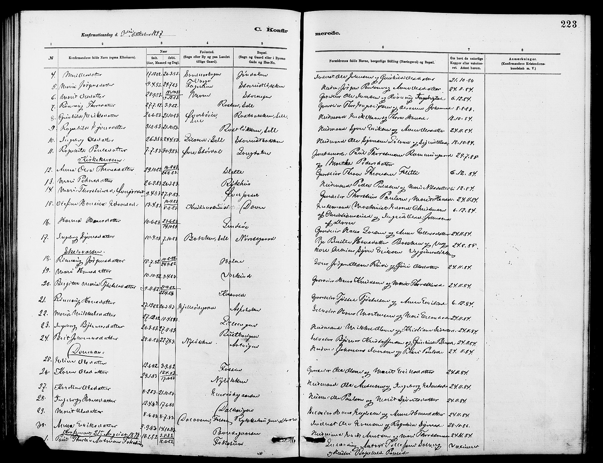 Dovre prestekontor, AV/SAH-PREST-066/H/Ha/Hab/L0002: Klokkerbok nr. 2, 1881-1907, s. 223