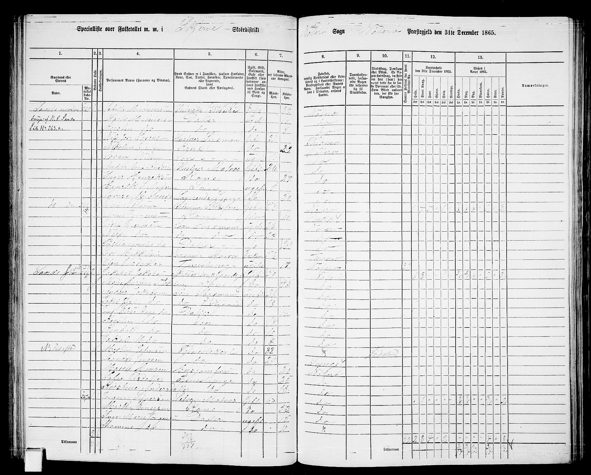 RA, Folketelling 1865 for 0722P Nøtterøy prestegjeld, 1865, s. 148