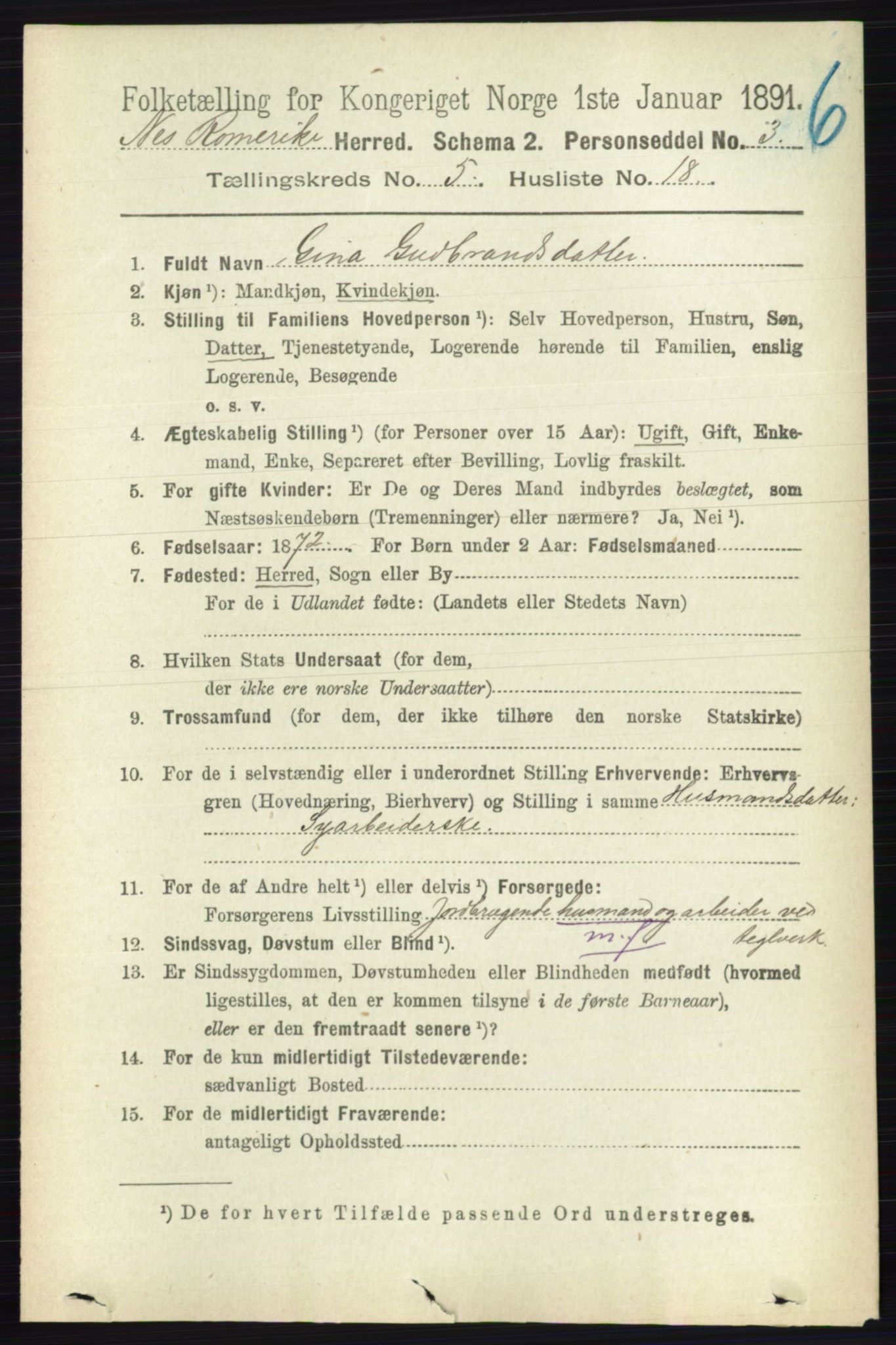 RA, Folketelling 1891 for 0236 Nes herred, 1891, s. 2891