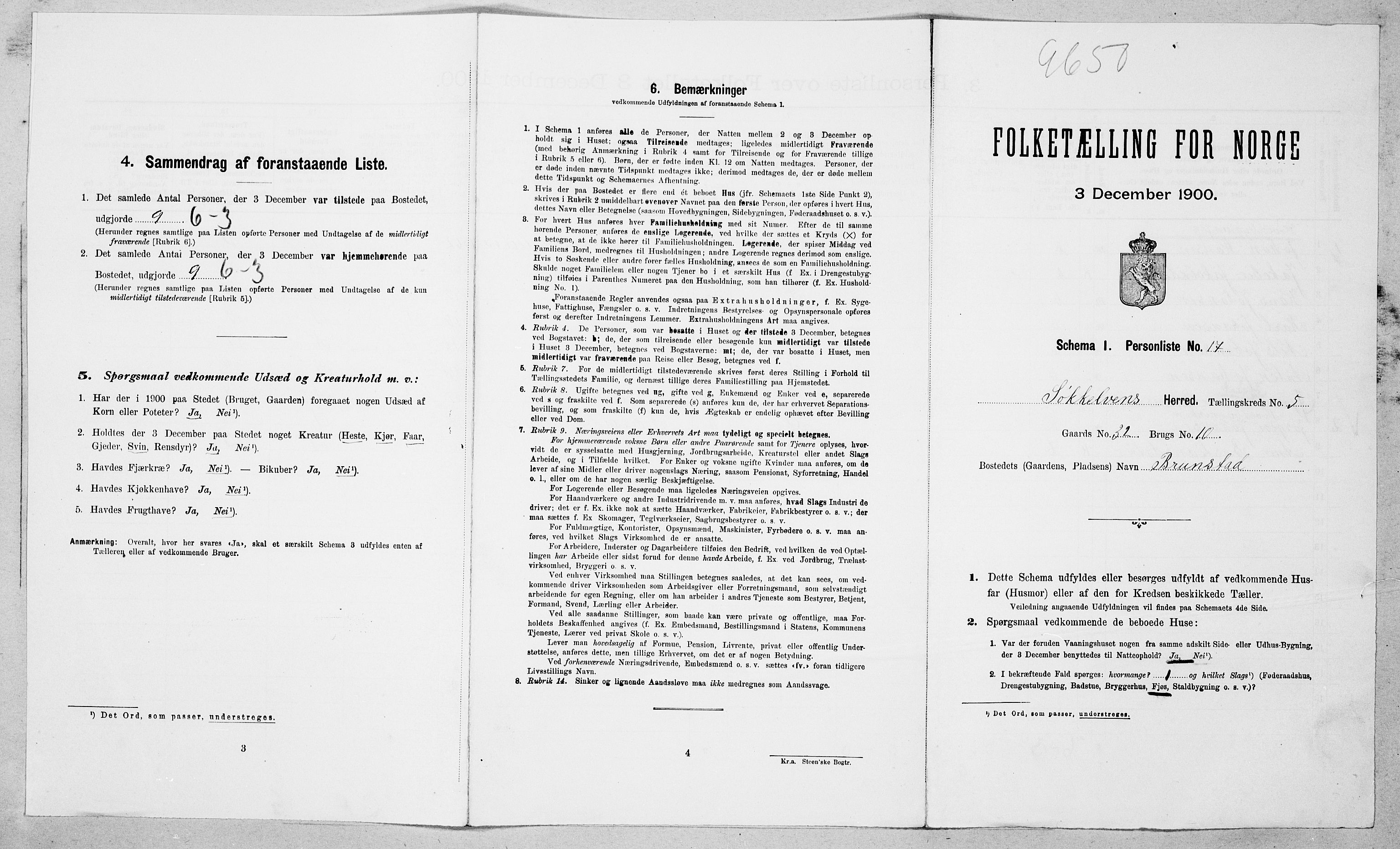 SAT, Folketelling 1900 for 1528 Sykkylven herred, 1900, s. 565