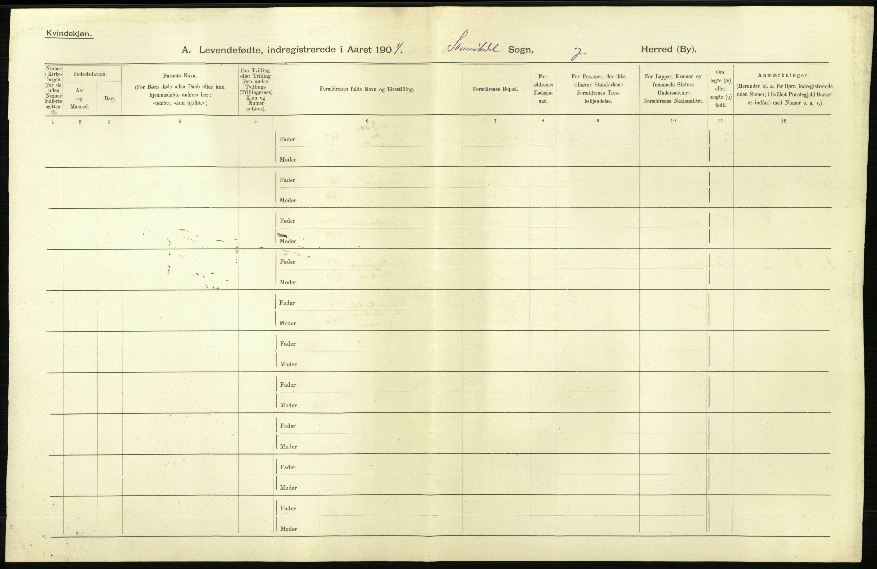 Statistisk sentralbyrå, Sosiodemografiske emner, Befolkning, AV/RA-S-2228/D/Df/Dfa/Dfab/L0009: Bratsberg amt: Fødte, gifte, døde, 1904, s. 30