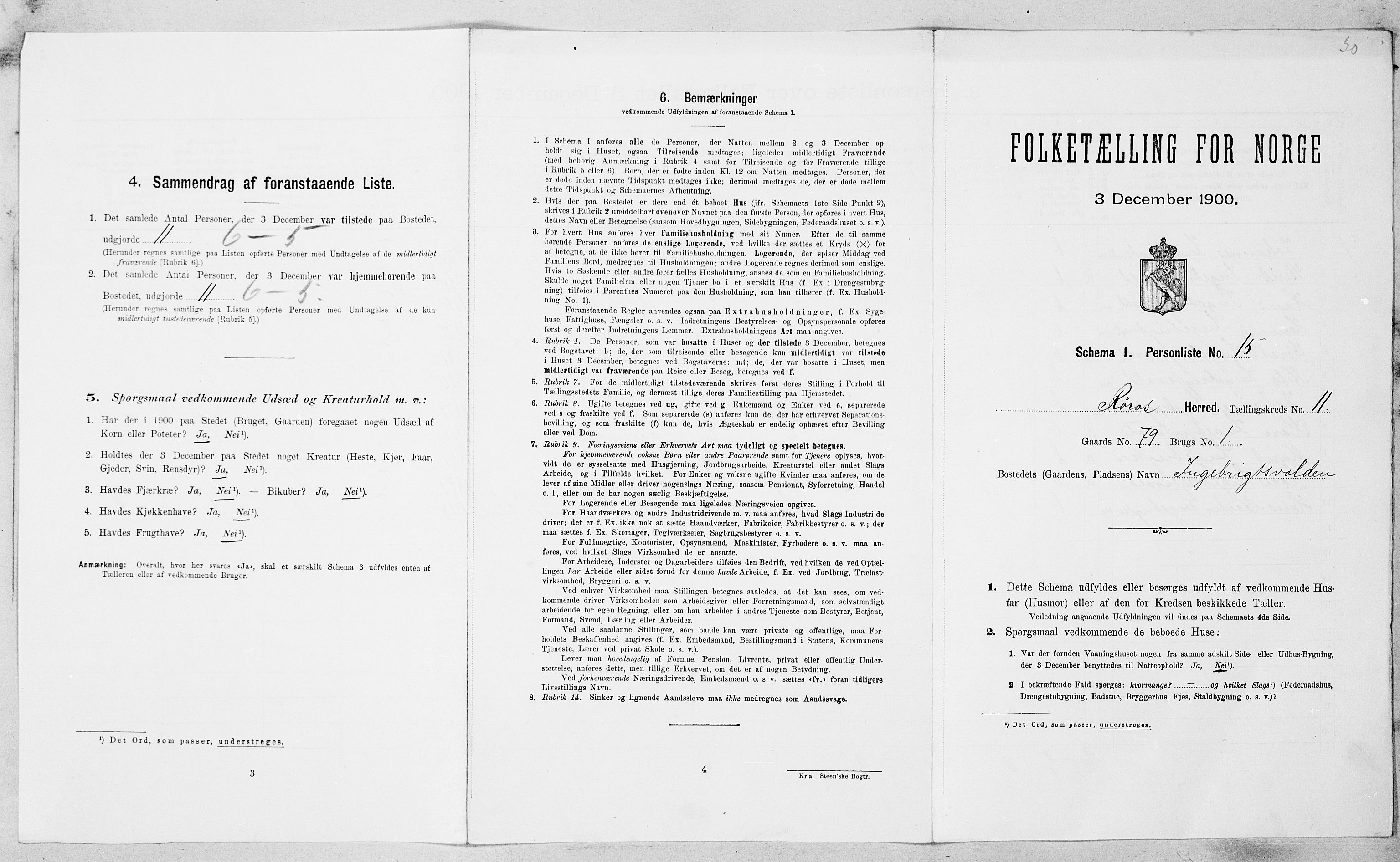 SAT, Folketelling 1900 for 1640 Røros herred, 1900, s. 1172