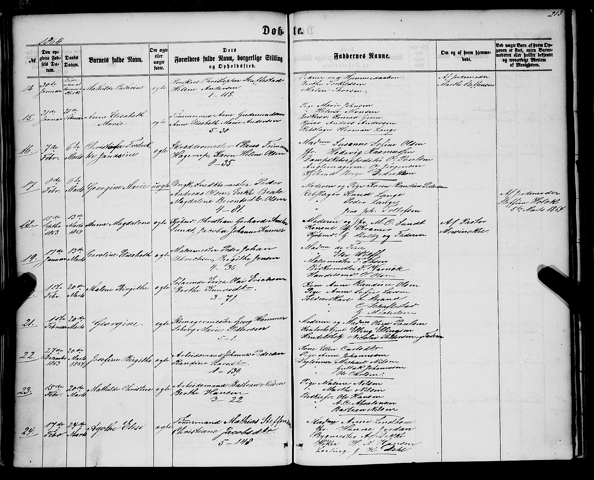 Nykirken Sokneprestembete, AV/SAB-A-77101/H/Haa/L0015: Ministerialbok nr. B 2, 1858-1869, s. 213