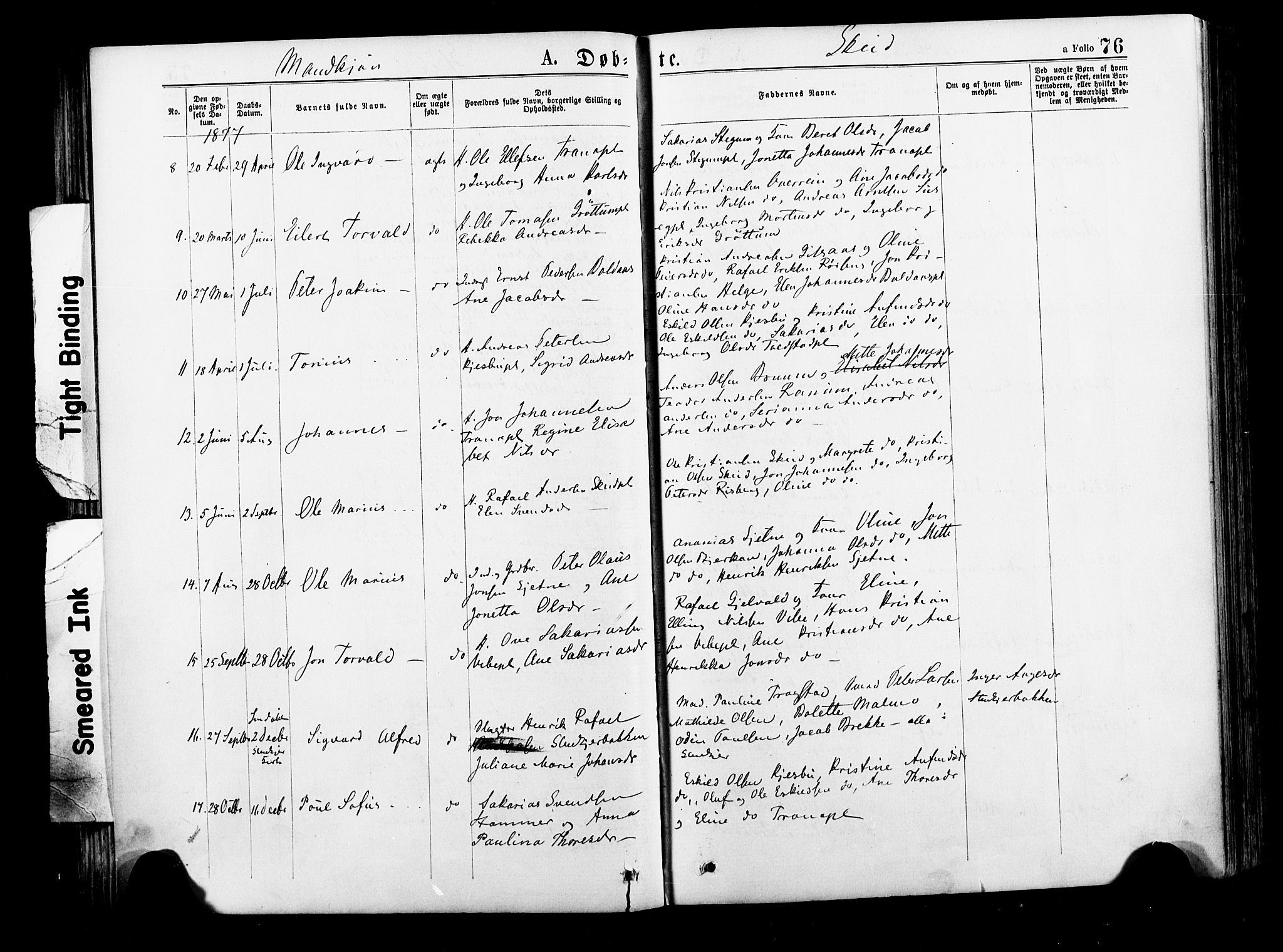 Ministerialprotokoller, klokkerbøker og fødselsregistre - Nord-Trøndelag, AV/SAT-A-1458/735/L0348: Ministerialbok nr. 735A09 /2, 1873-1883, s. 76