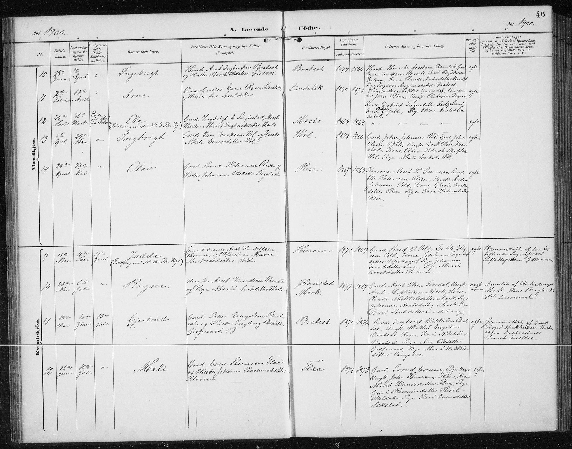 Ministerialprotokoller, klokkerbøker og fødselsregistre - Sør-Trøndelag, AV/SAT-A-1456/674/L0876: Klokkerbok nr. 674C03, 1892-1912, s. 46