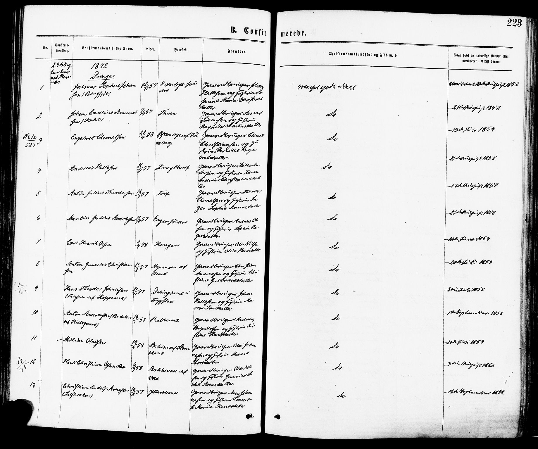 Høland prestekontor Kirkebøker, SAO/A-10346a/F/Fa/L0012.a: Ministerialbok nr. I 12A, 1869-1879, s. 223