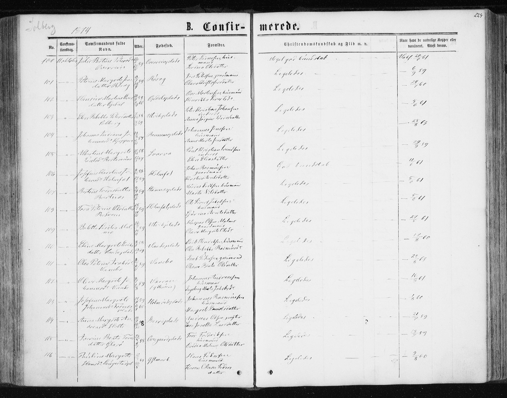 Ministerialprotokoller, klokkerbøker og fødselsregistre - Nord-Trøndelag, AV/SAT-A-1458/741/L0394: Ministerialbok nr. 741A08, 1864-1877, s. 224