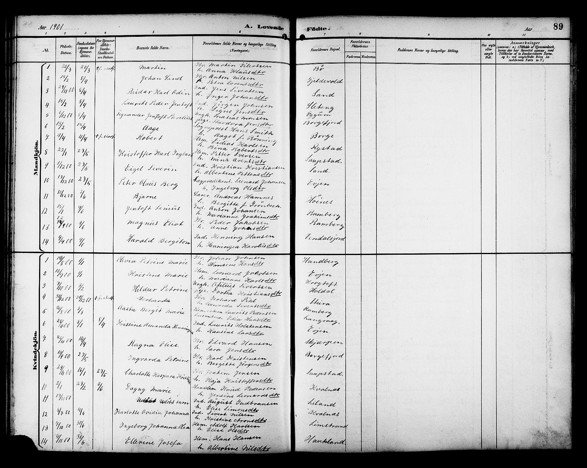 Ministerialprotokoller, klokkerbøker og fødselsregistre - Nordland, AV/SAT-A-1459/880/L1141: Klokkerbok nr. 880C03, 1893-1928, s. 89