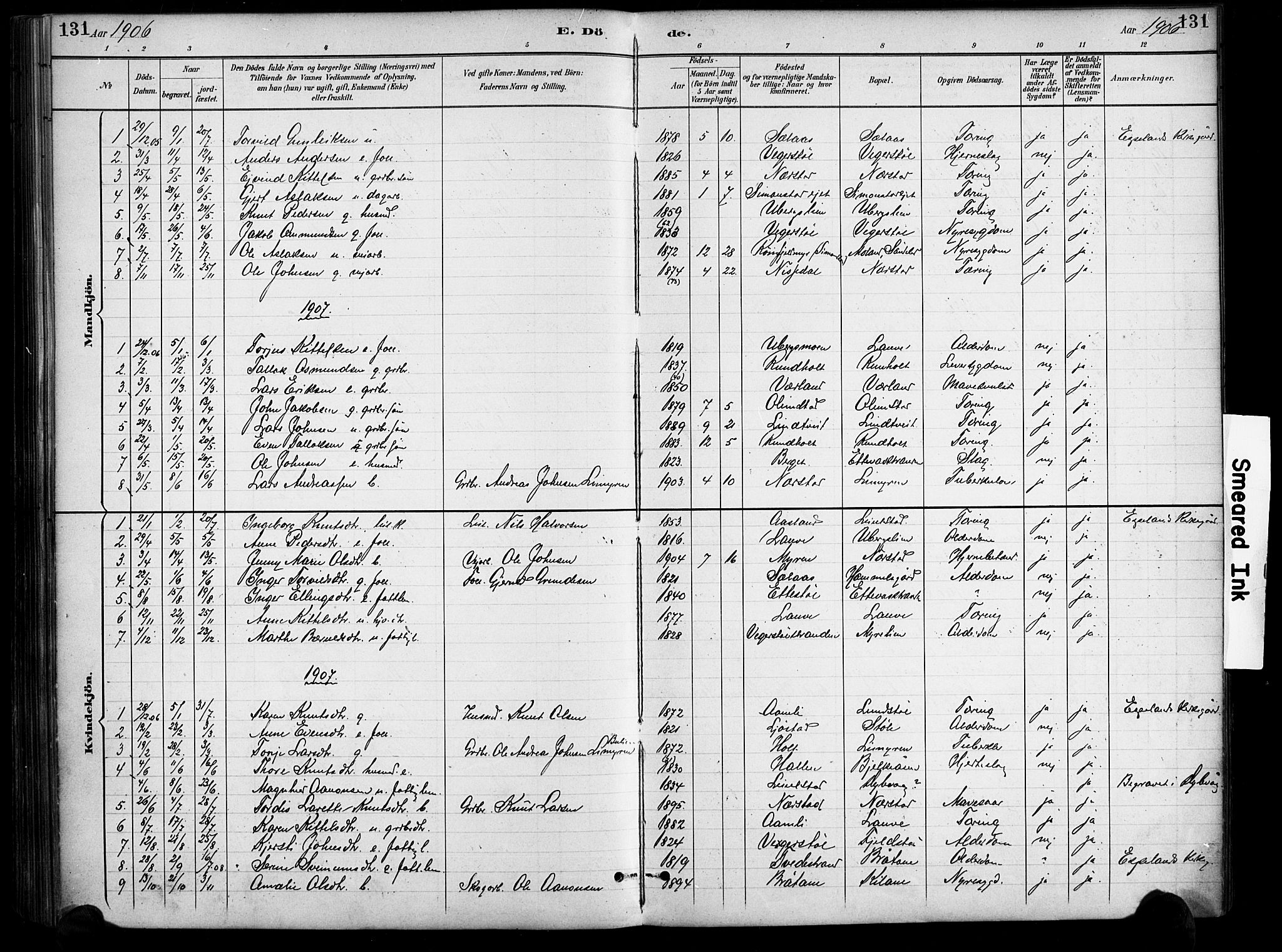 Gjerstad sokneprestkontor, SAK/1111-0014/F/Fa/Fab/L0005: Ministerialbok nr. A 5, 1891-1908, s. 131