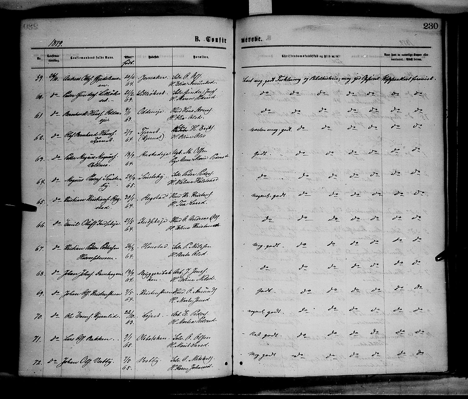 Elverum prestekontor, AV/SAH-PREST-044/H/Ha/Haa/L0011: Ministerialbok nr. 11, 1869-1879, s. 230