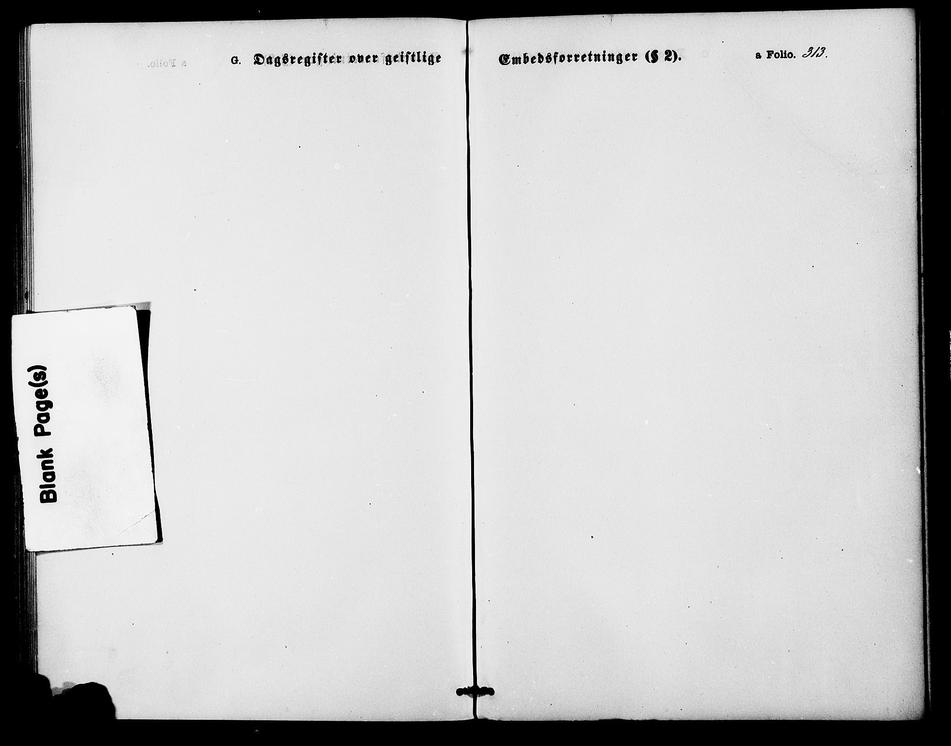 Bakke sokneprestkontor, SAK/1111-0002/F/Fa/Faa/L0007: Ministerialbok nr. A 7, 1877-1886, s. 313
