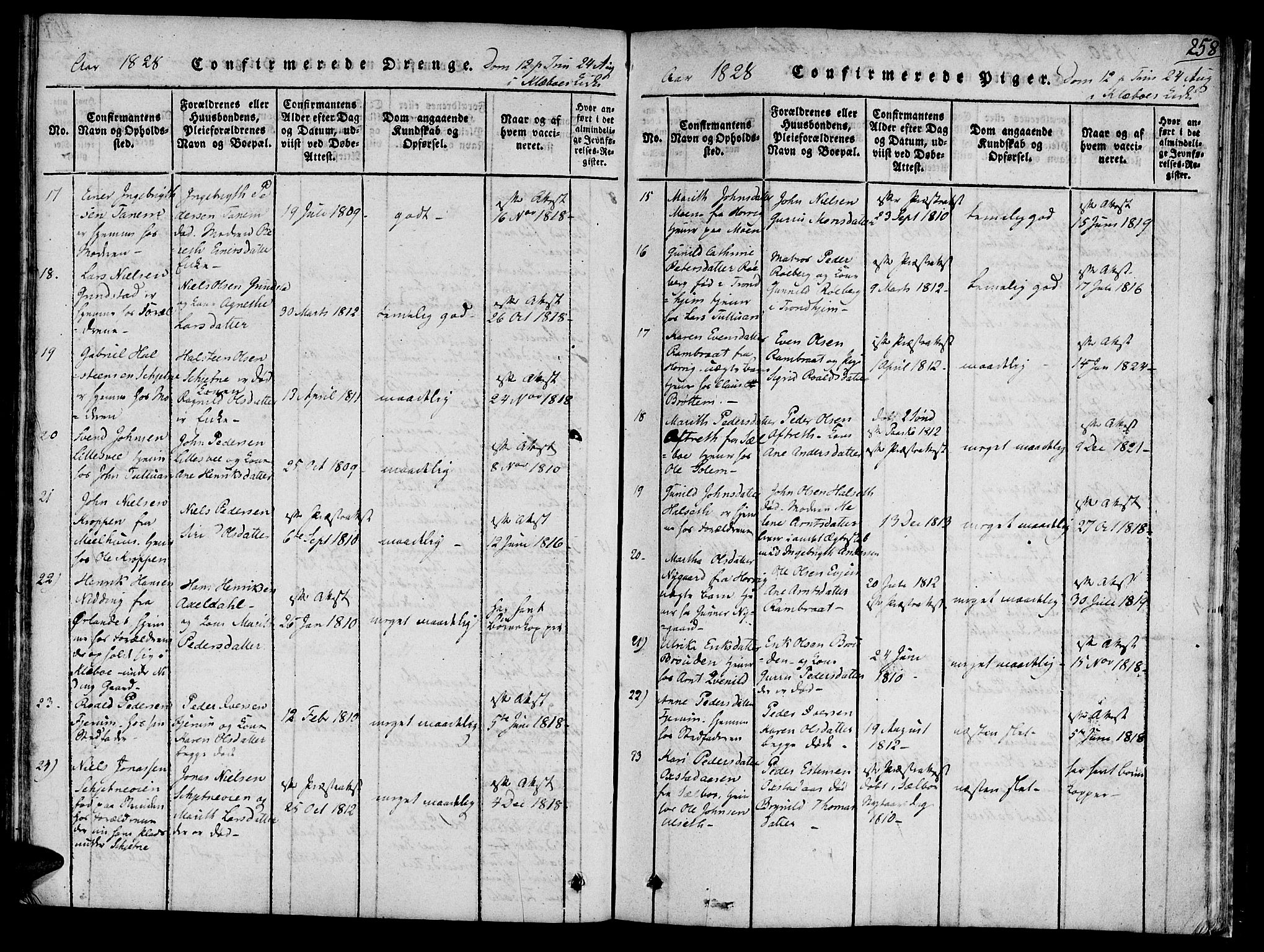 Ministerialprotokoller, klokkerbøker og fødselsregistre - Sør-Trøndelag, SAT/A-1456/618/L0439: Ministerialbok nr. 618A04 /1, 1816-1843, s. 258