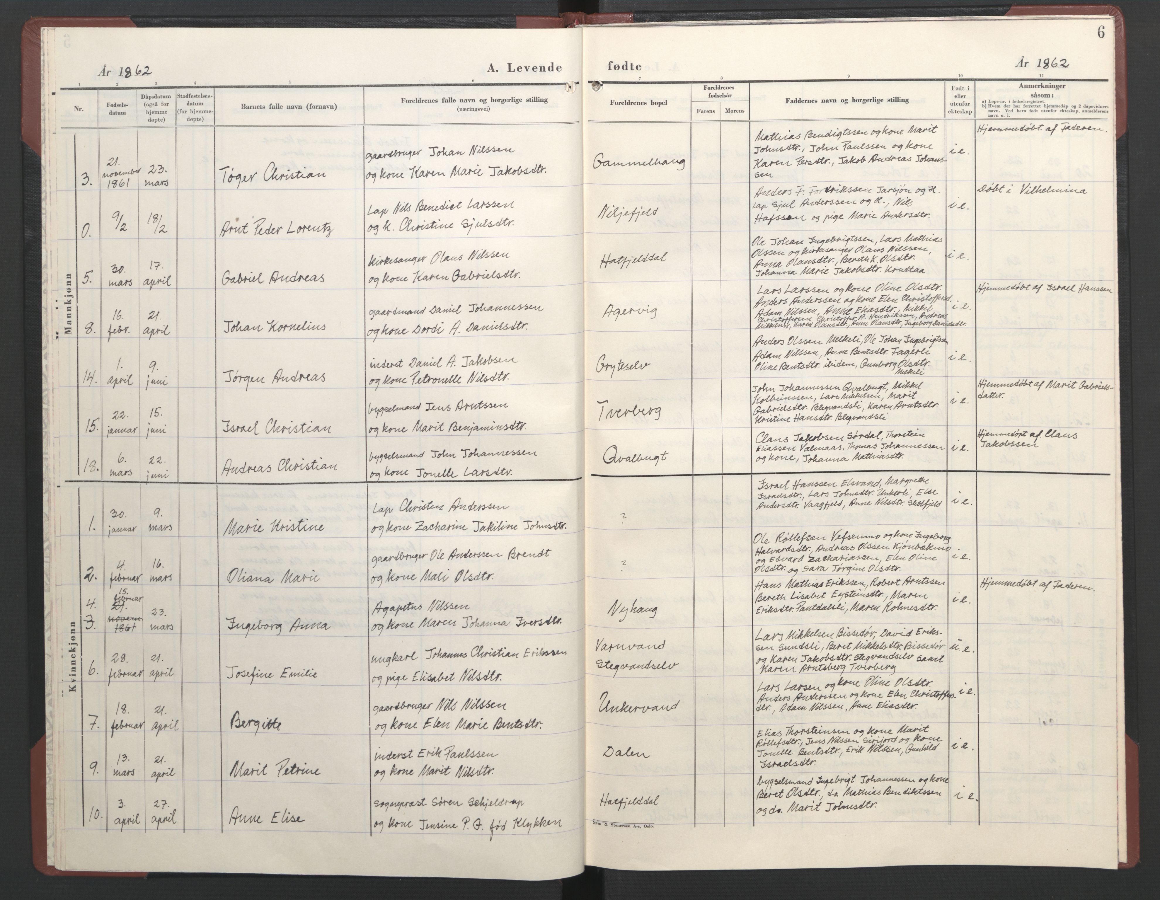 Ministerialprotokoller, klokkerbøker og fødselsregistre - Nordland, AV/SAT-A-1459/823/L0335: Ministerialbok nr. 823D01, 1860-1864, s. 6