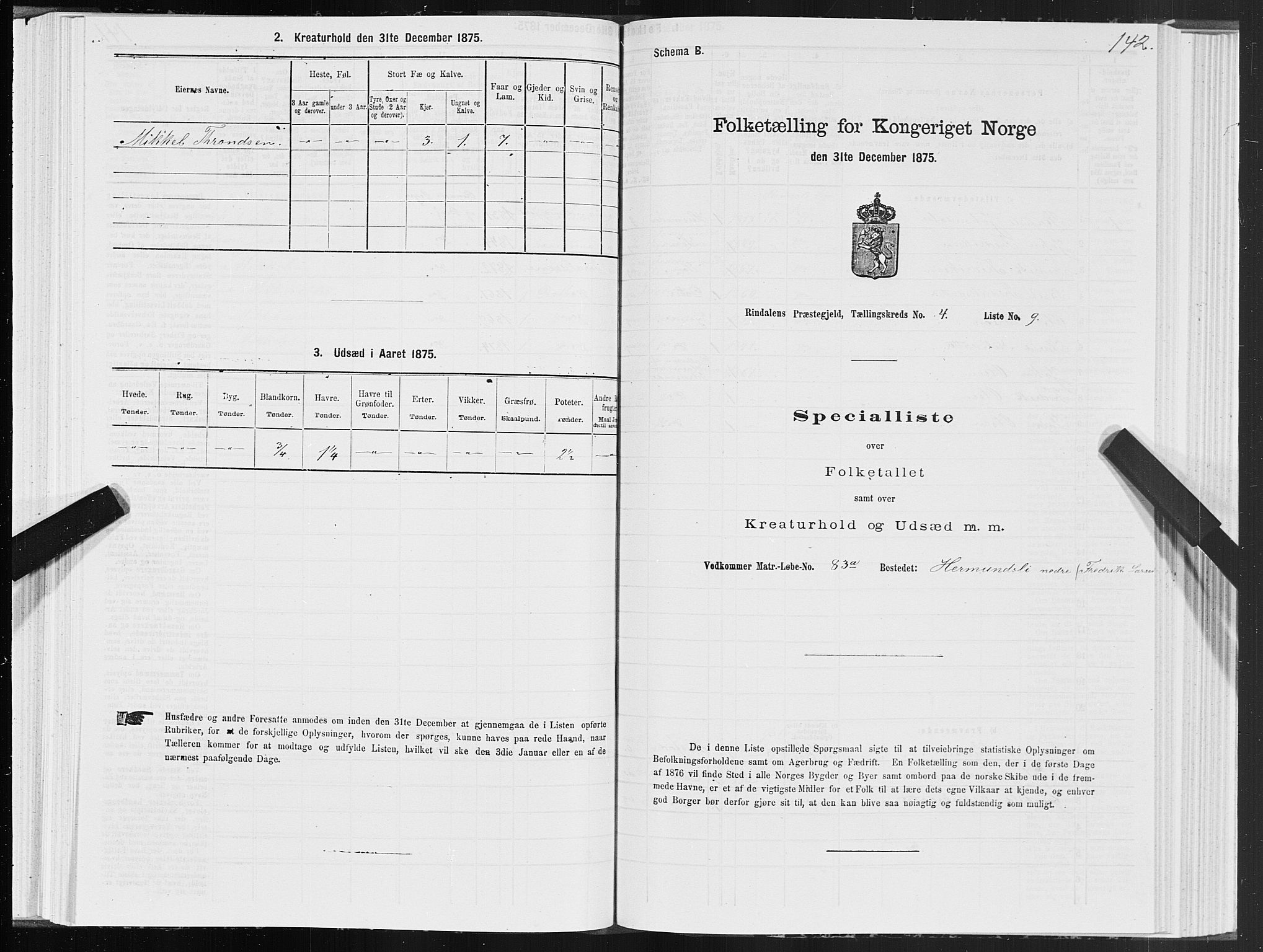 SAT, Folketelling 1875 for 1567P Rindal prestegjeld, 1875, s. 2142