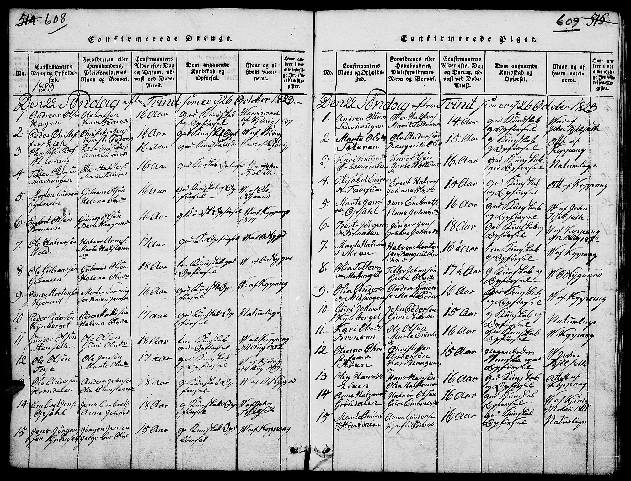 Elverum prestekontor, SAH/PREST-044/H/Ha/Hab/L0001: Klokkerbok nr. 1, 1815-1829, s. 608-609