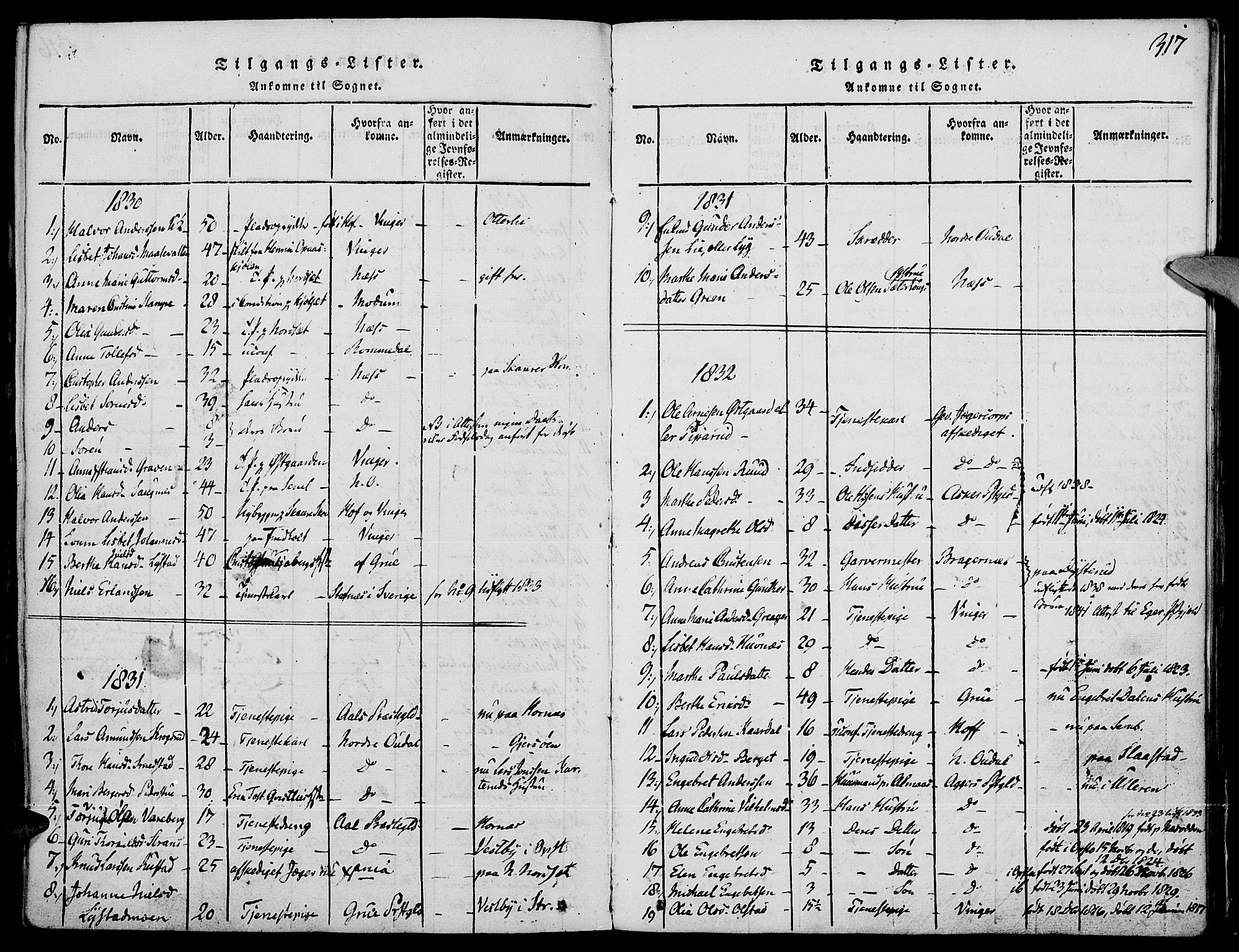 Strøm-Odalen prestekontor, AV/SAH-PREST-028/H/Ha/Haa/L0006: Ministerialbok nr. 6, 1814-1850, s. 317