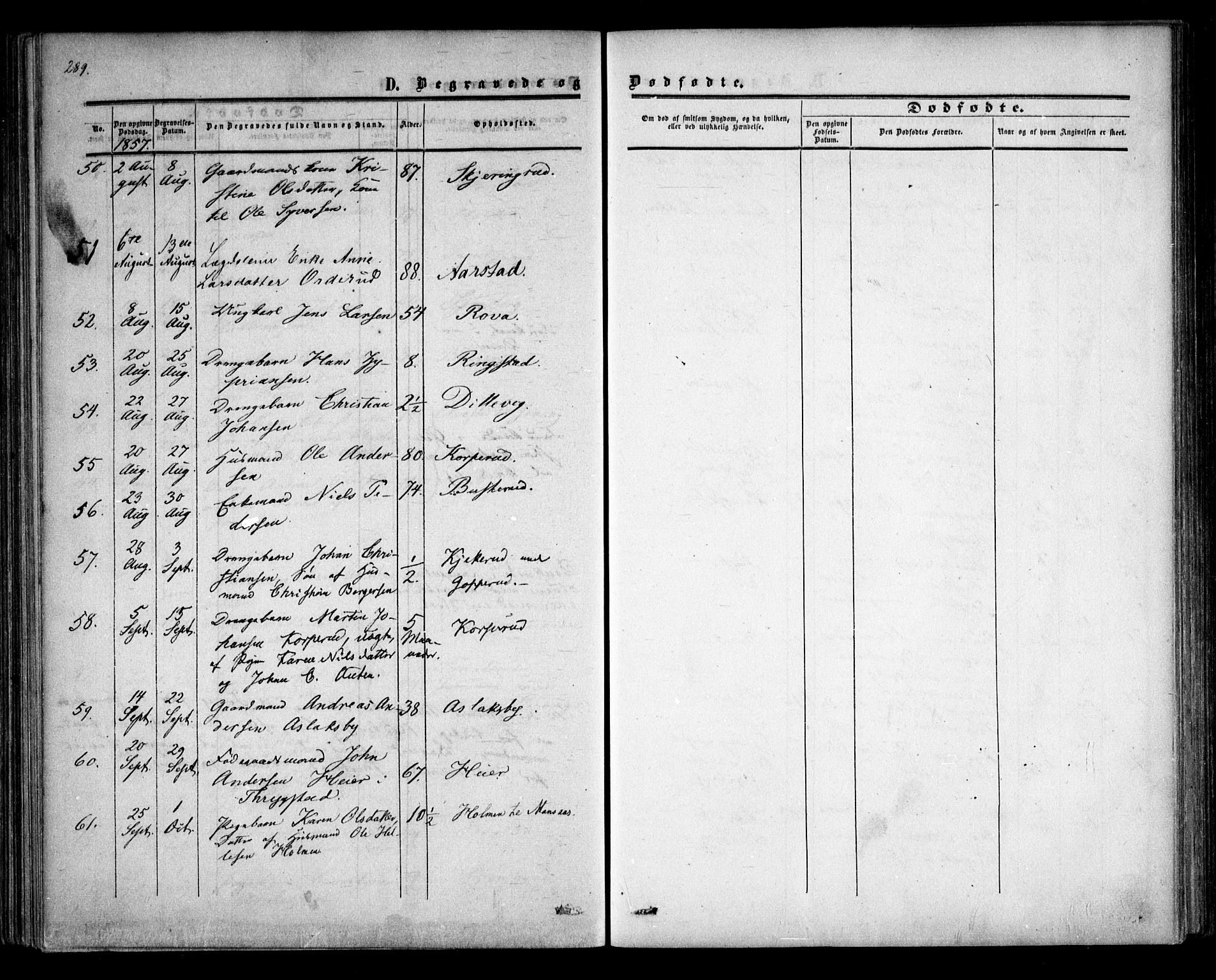 Trøgstad prestekontor Kirkebøker, AV/SAO-A-10925/F/Fa/L0008.b: Ministerialbok nr. I 8B, 1855-1864, s. 289