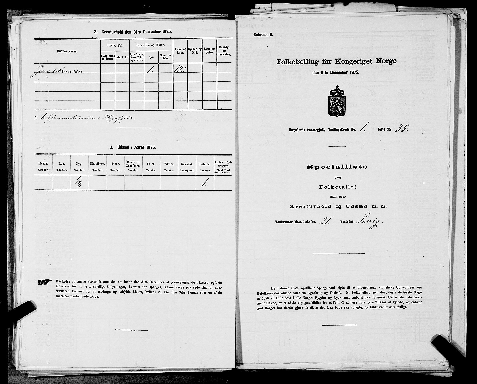 SAST, Folketelling 1875 for 1128P Høgsfjord prestegjeld, 1875, s. 136