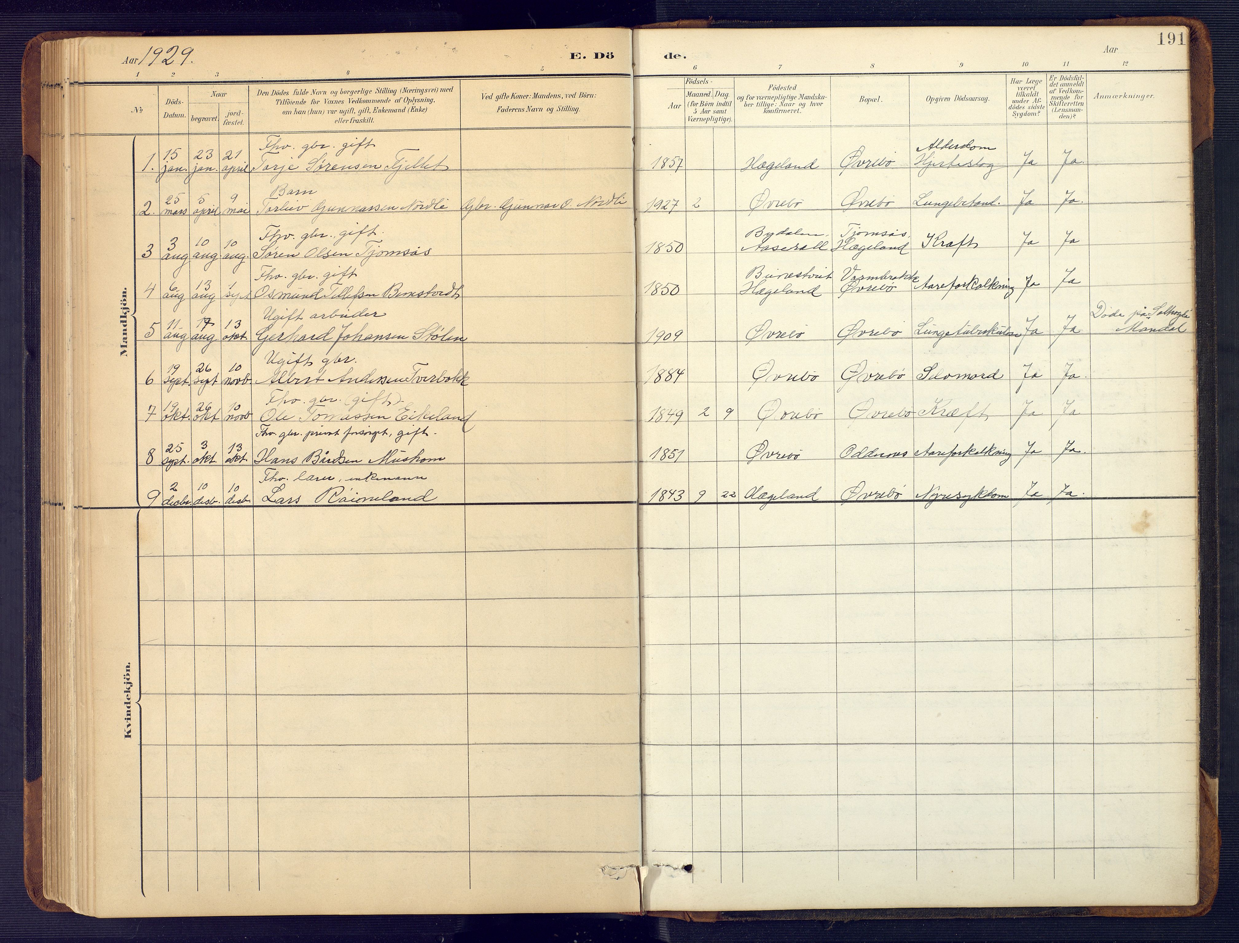 Vennesla sokneprestkontor, SAK/1111-0045/Fb/Fbc/L0003: Klokkerbok nr. B 3, 1895-1946, s. 191