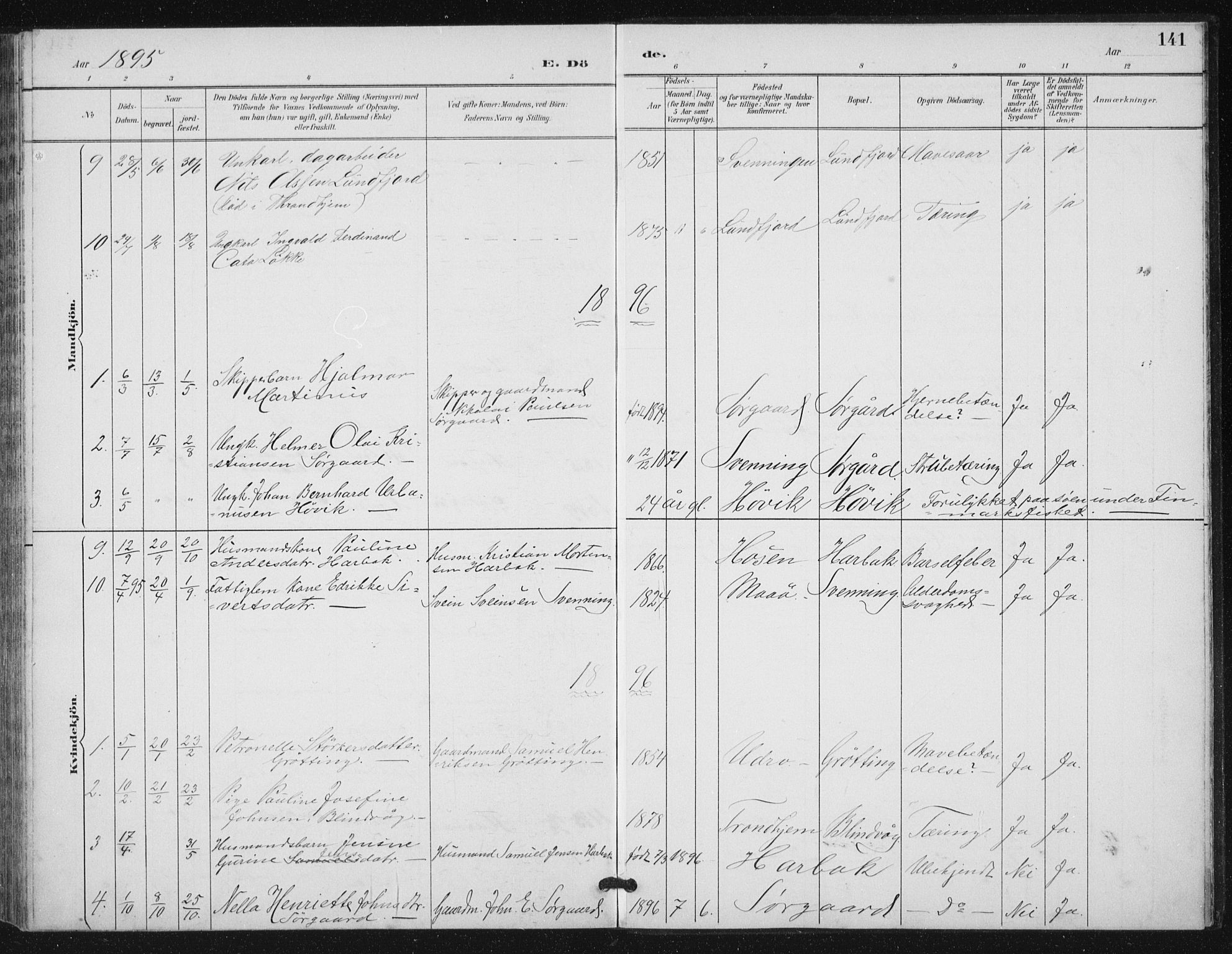Ministerialprotokoller, klokkerbøker og fødselsregistre - Sør-Trøndelag, SAT/A-1456/656/L0698: Klokkerbok nr. 656C04, 1890-1904, s. 141