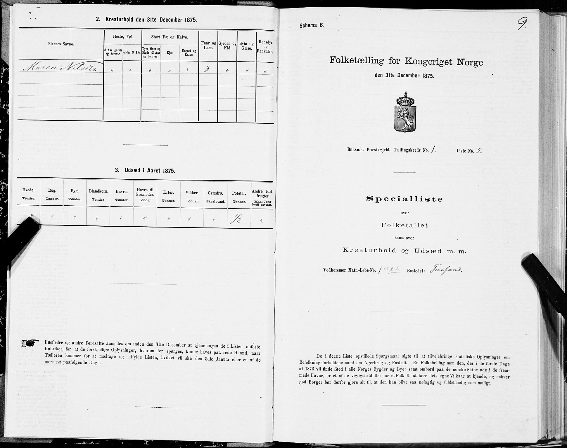 SAT, Folketelling 1875 for 1860P Buksnes prestegjeld, 1875, s. 1009