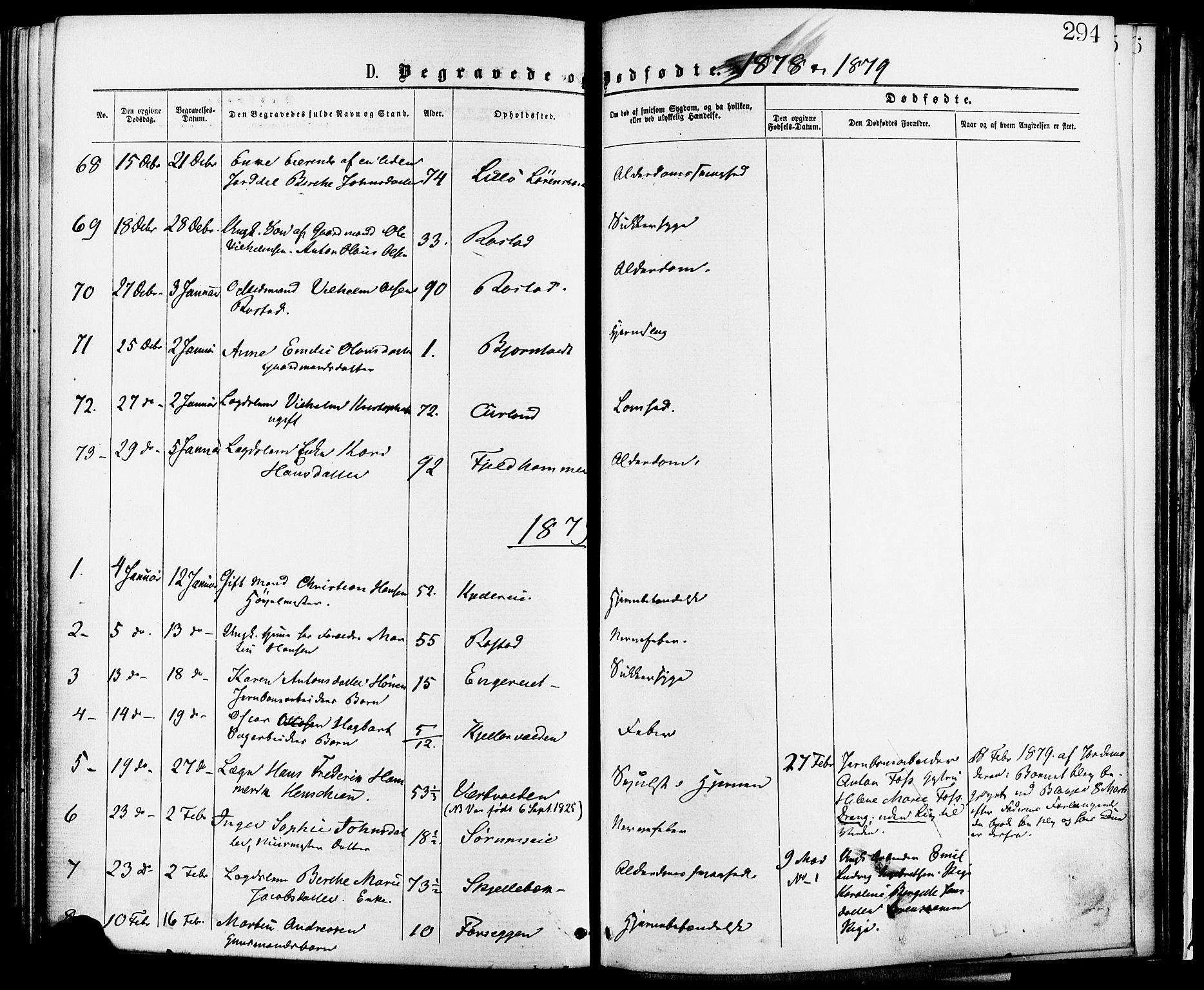 Skedsmo prestekontor Kirkebøker, SAO/A-10033a/F/Fa/L0012: Ministerialbok nr. I 12, 1876-1883, s. 294