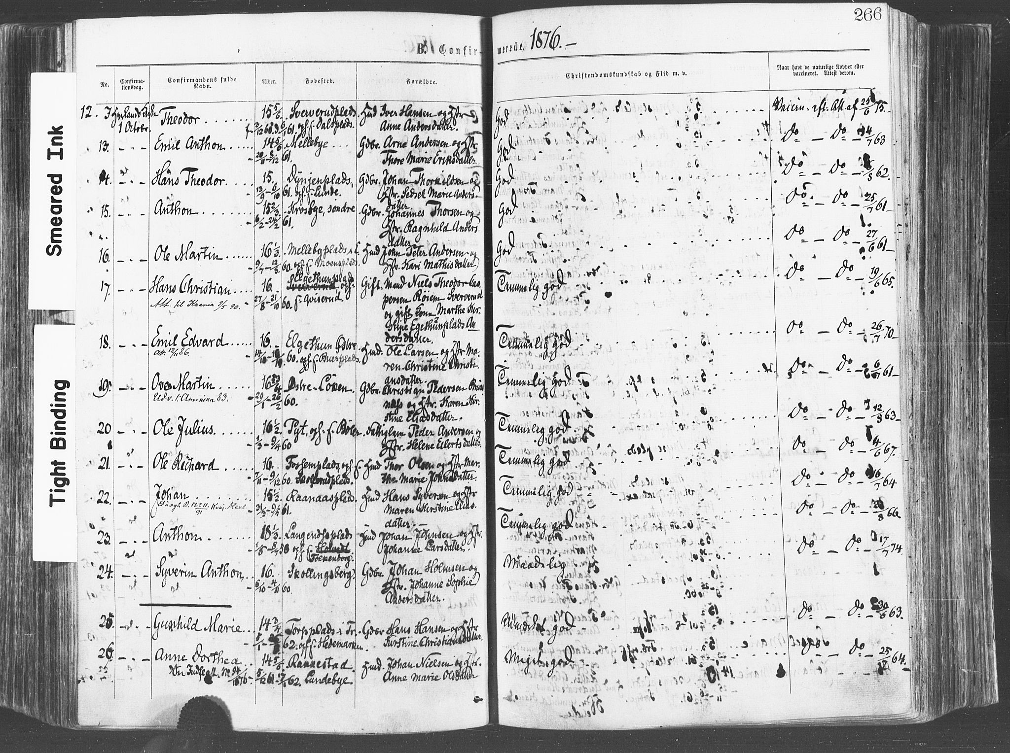 Eidsberg prestekontor Kirkebøker, AV/SAO-A-10905/F/Fa/L0011: Ministerialbok nr. I 11, 1867-1878, s. 266