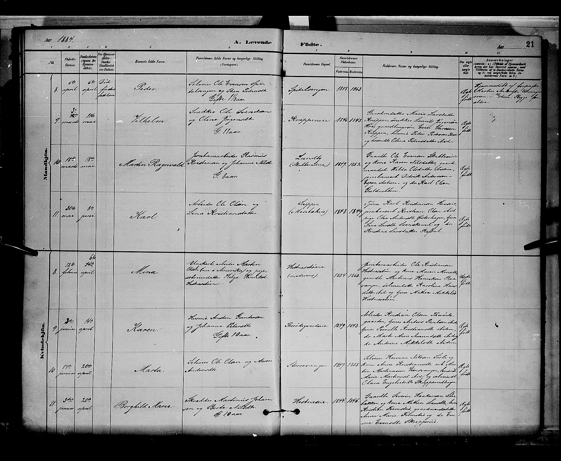 Stange prestekontor, AV/SAH-PREST-002/L/L0008: Klokkerbok nr. 8, 1882-1895, s. 21