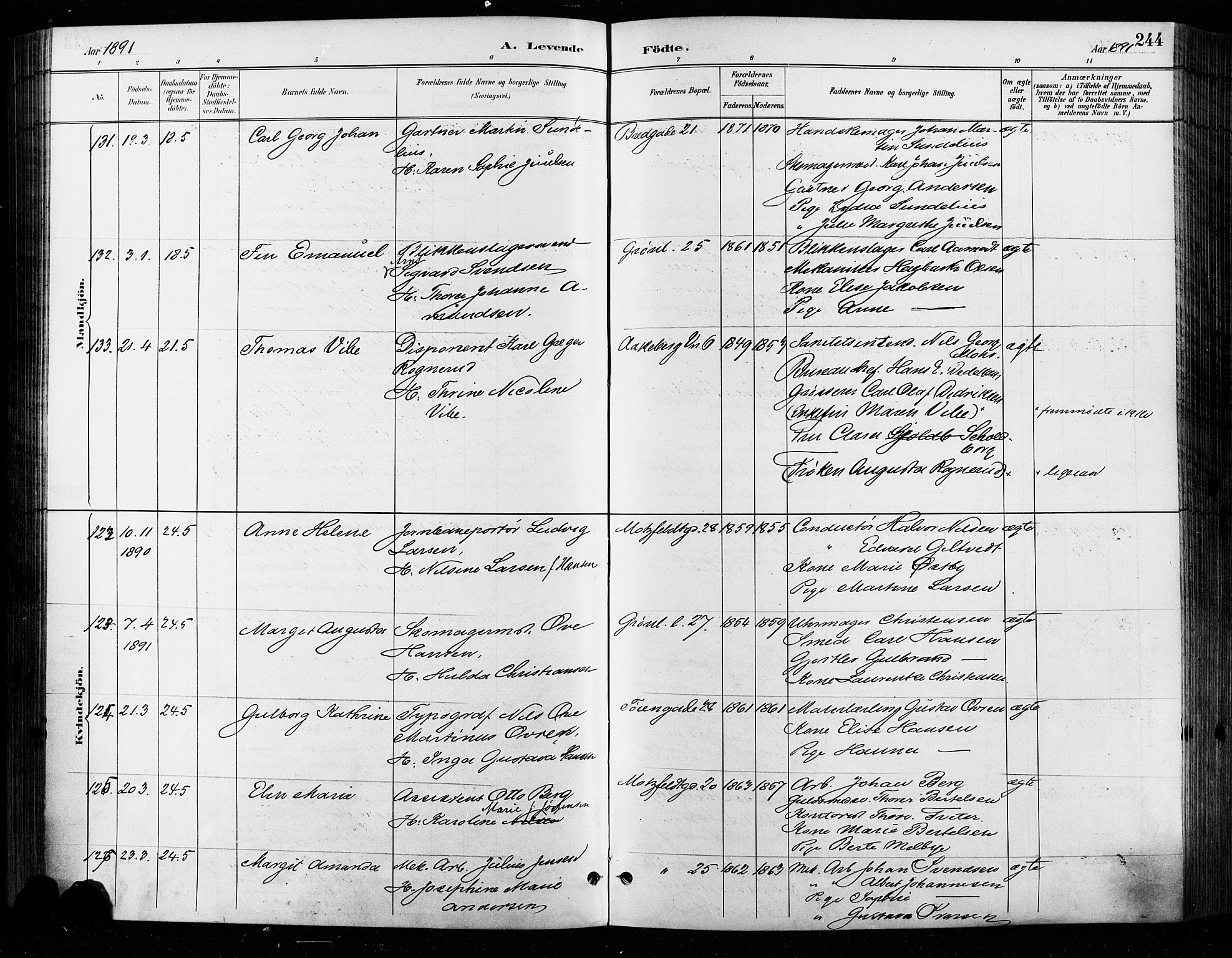 Grønland prestekontor Kirkebøker, SAO/A-10848/F/Fa/L0009: Ministerialbok nr. 9, 1888-1893, s. 244