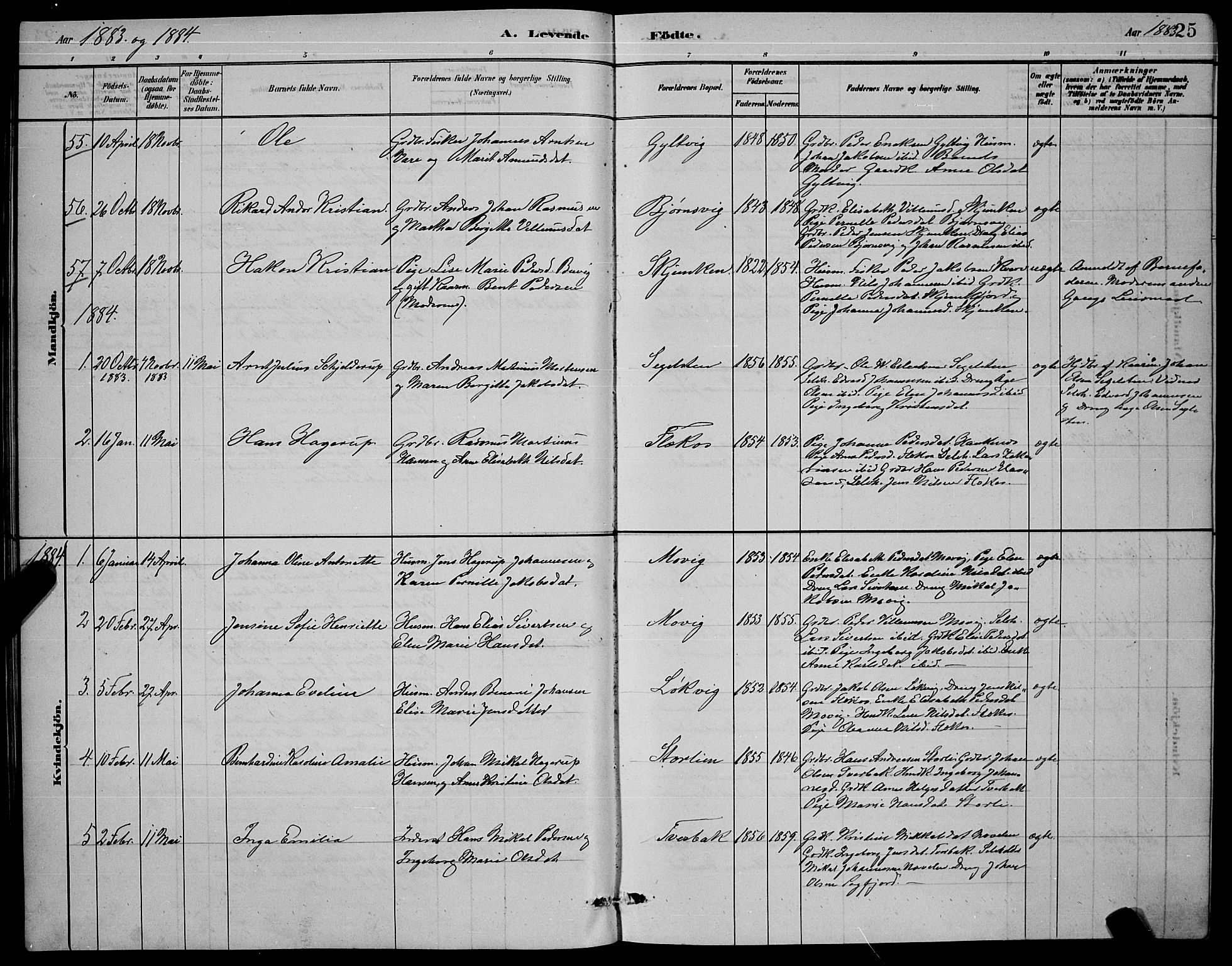 Ministerialprotokoller, klokkerbøker og fødselsregistre - Nordland, SAT/A-1459/853/L0772: Ministerialbok nr. 853A11, 1881-1900, s. 25