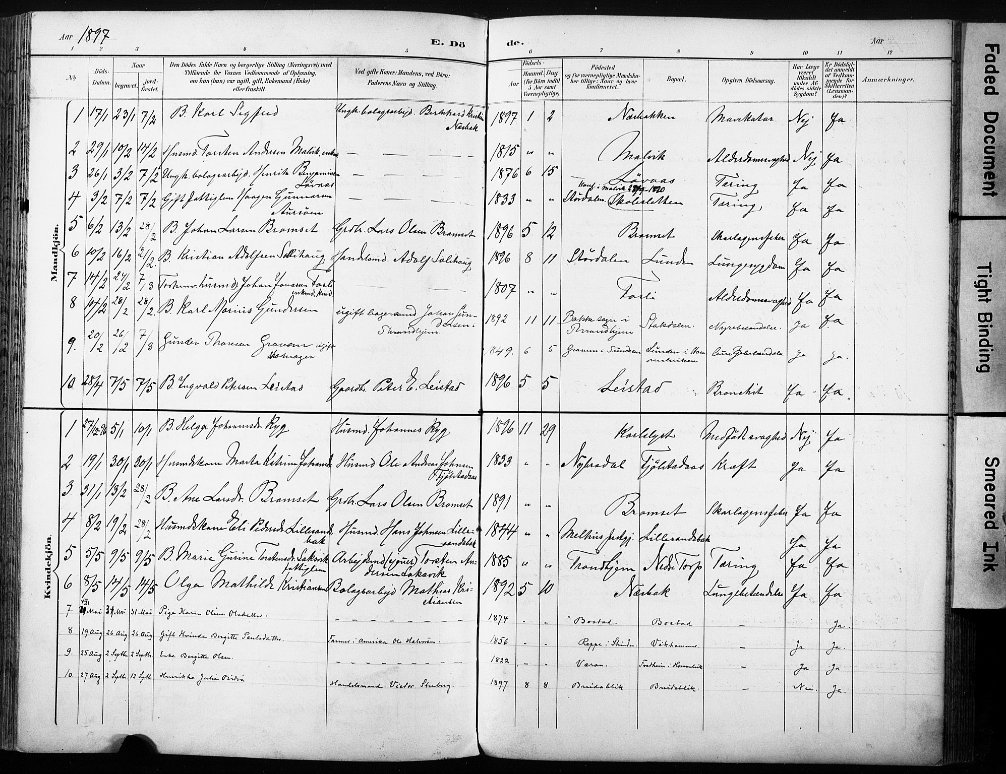 Ministerialprotokoller, klokkerbøker og fødselsregistre - Sør-Trøndelag, AV/SAT-A-1456/616/L0411: Ministerialbok nr. 616A08, 1894-1906
