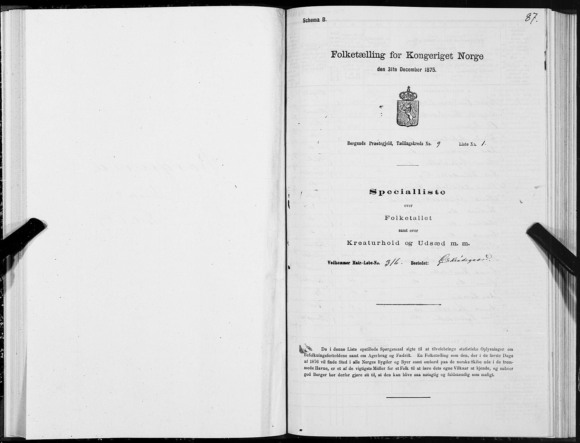 SAT, Folketelling 1875 for 1531P Borgund prestegjeld, 1875, s. 5087