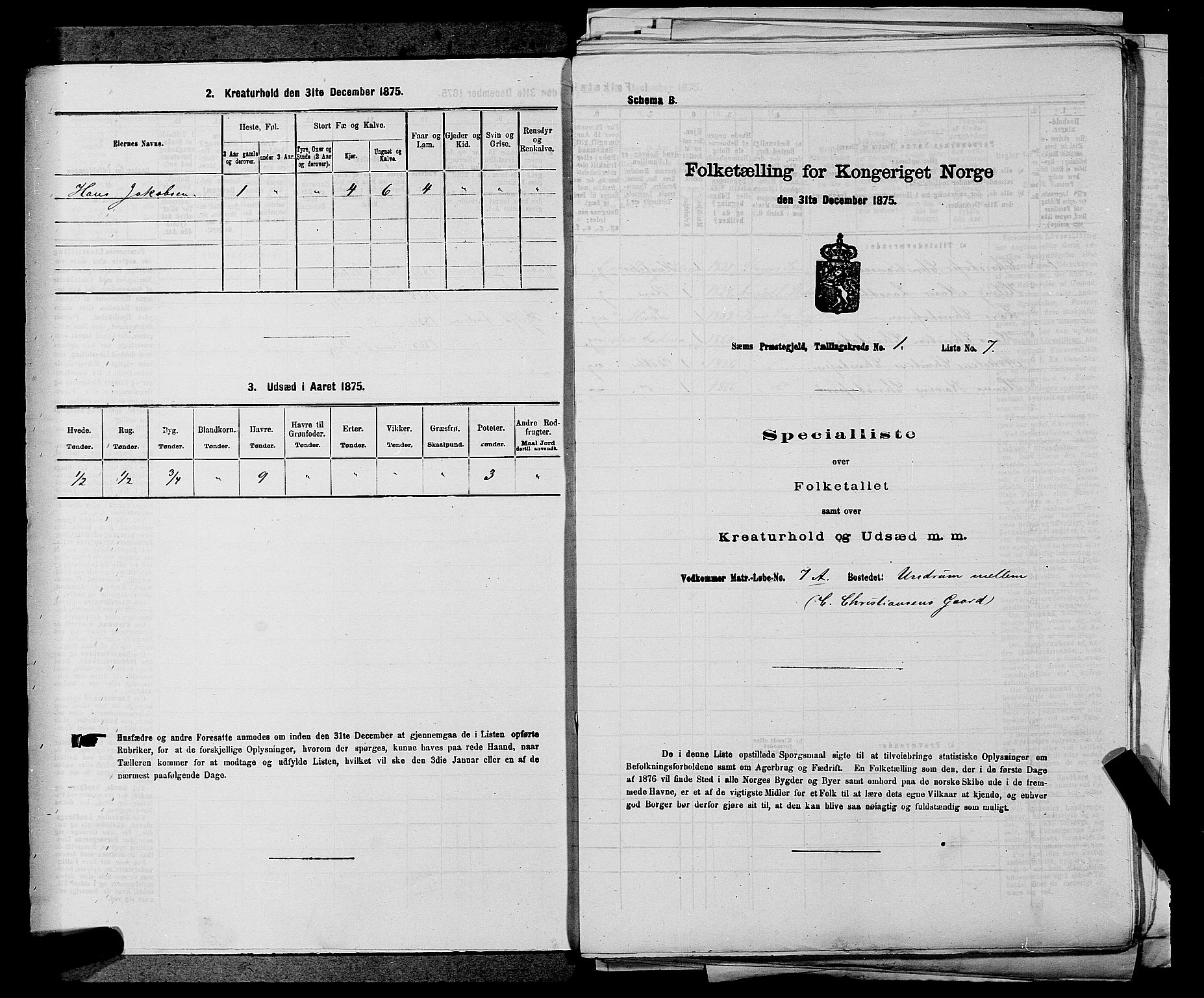 SAKO, Folketelling 1875 for 0721P Sem prestegjeld, 1875, s. 87