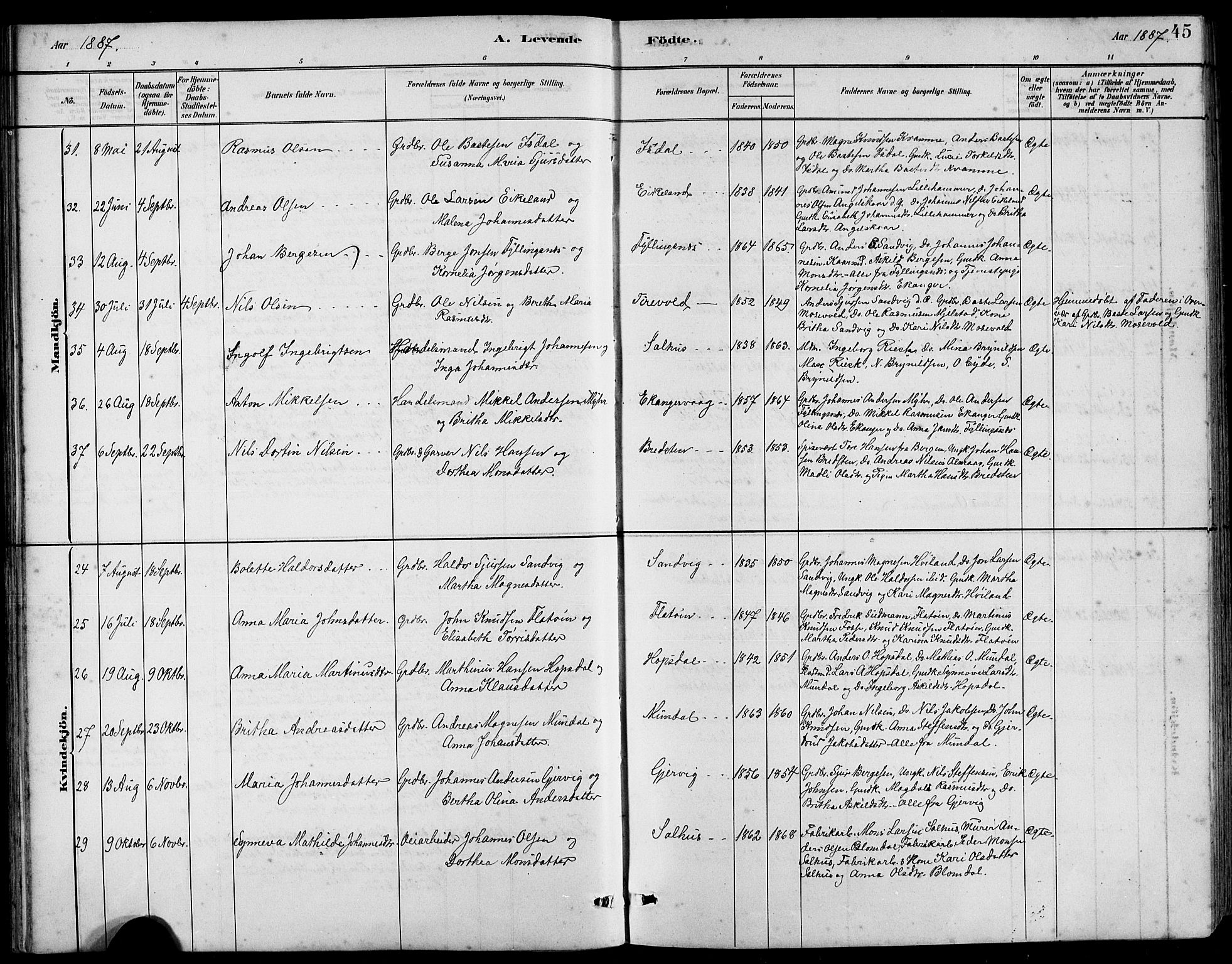 Hamre sokneprestembete, AV/SAB-A-75501/H/Ha/Hab: Klokkerbok nr. B 3, 1881-1898, s. 45