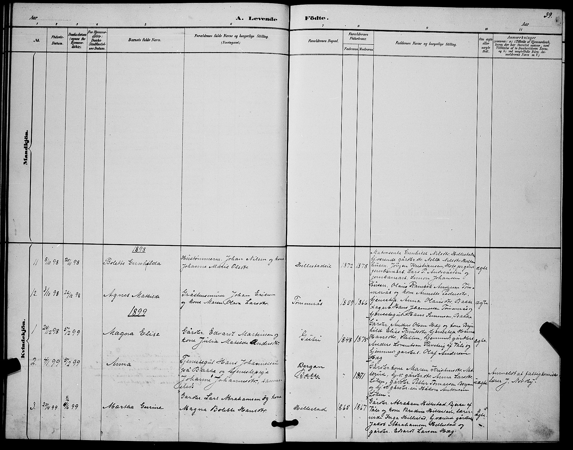 Botne kirkebøker, AV/SAKO-A-340/G/Gb/L0003: Klokkerbok nr. II 3, 1887-1899, s. 39