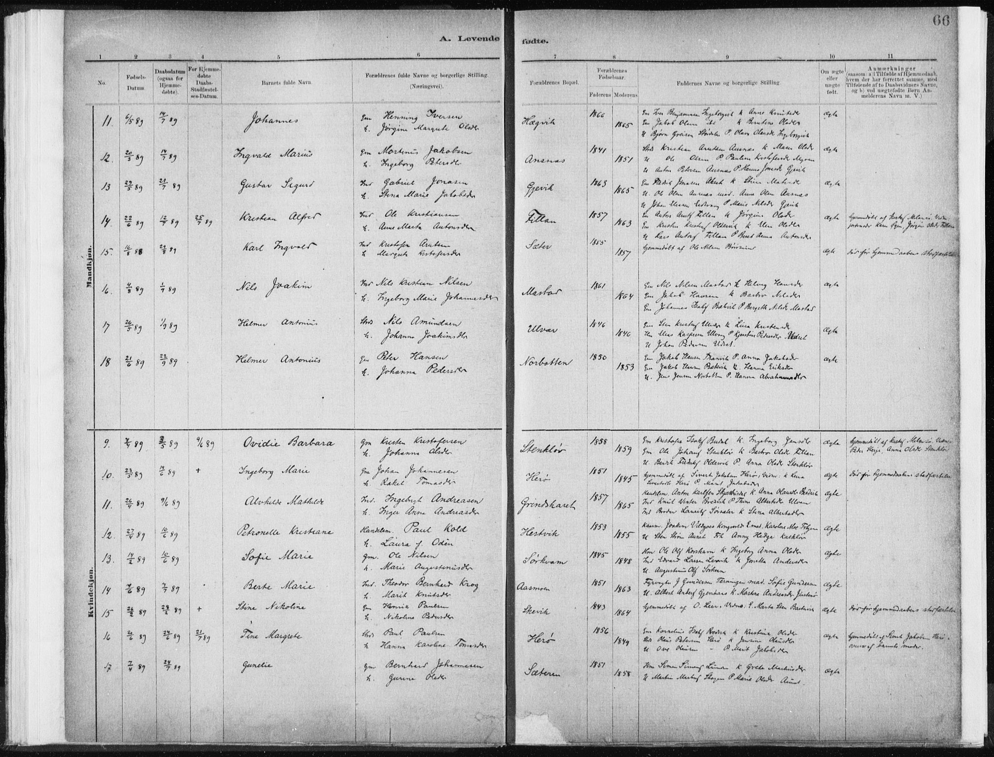 Ministerialprotokoller, klokkerbøker og fødselsregistre - Sør-Trøndelag, AV/SAT-A-1456/637/L0558: Ministerialbok nr. 637A01, 1882-1899, s. 66