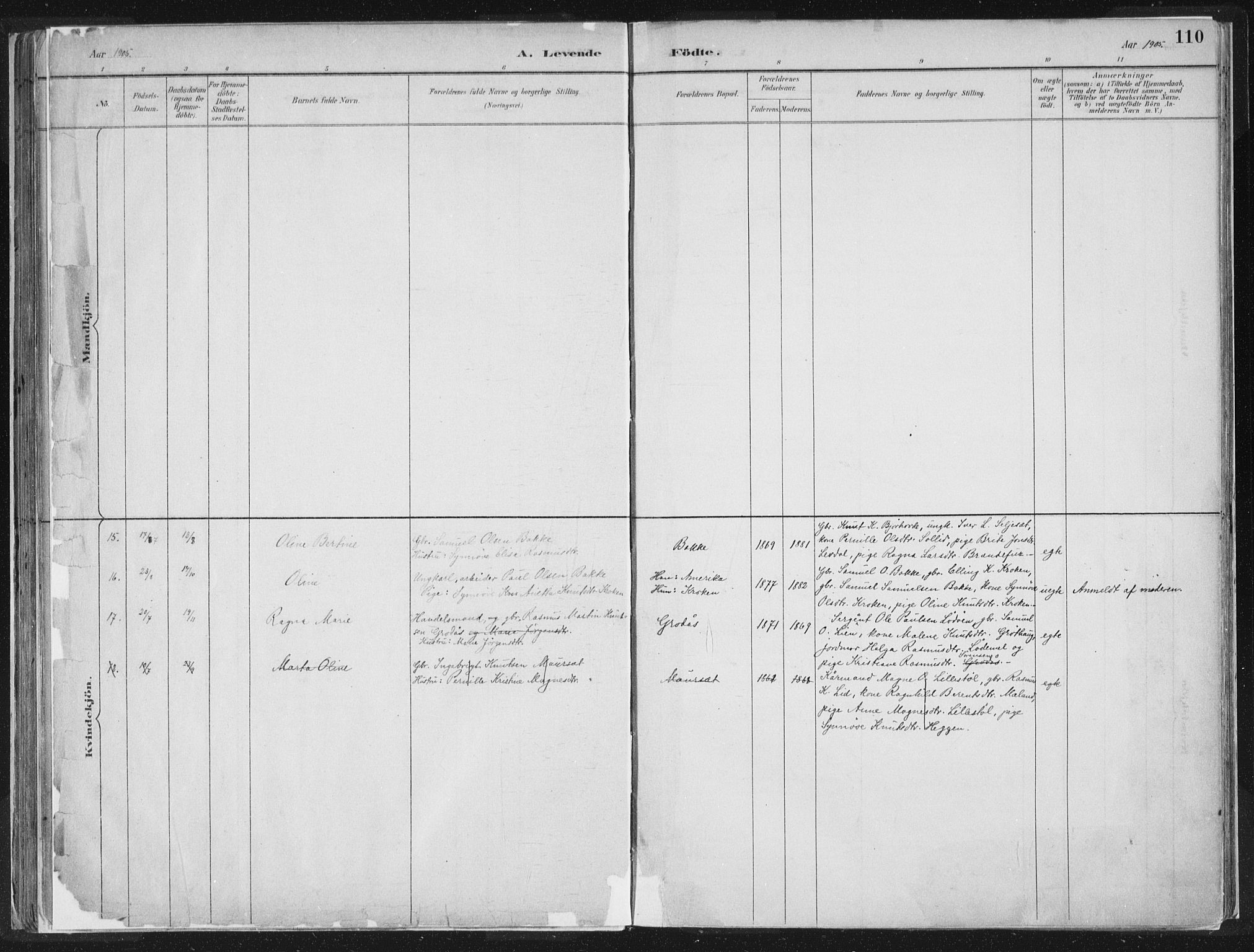 Hornindal sokneprestembete, SAB/A-82401/H/Haa/Haaa/L0003/0001: Ministerialbok nr. A 3A, 1887-1917, s. 110