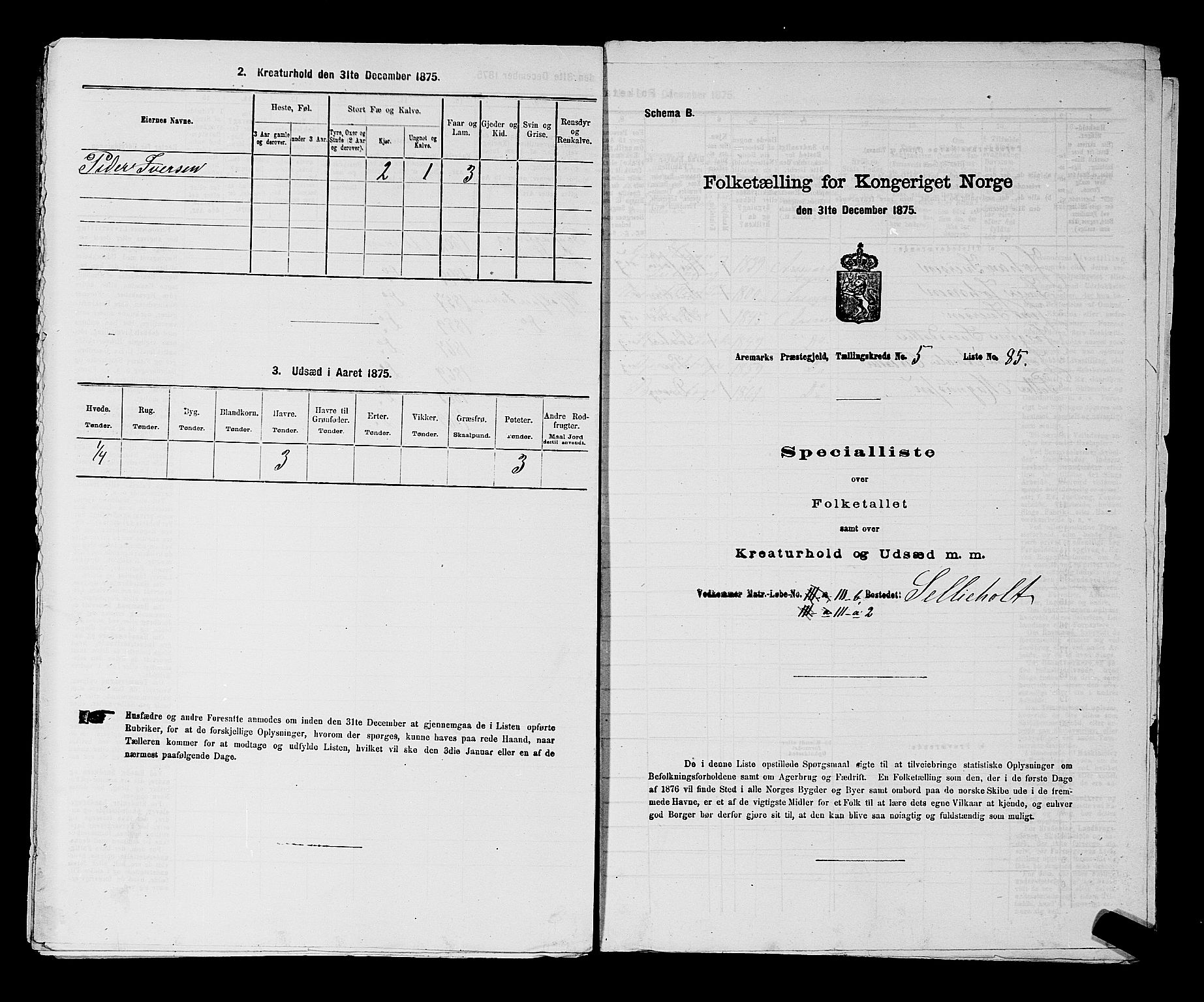 RA, Folketelling 1875 for 0118P Aremark prestegjeld, 1875, s. 815