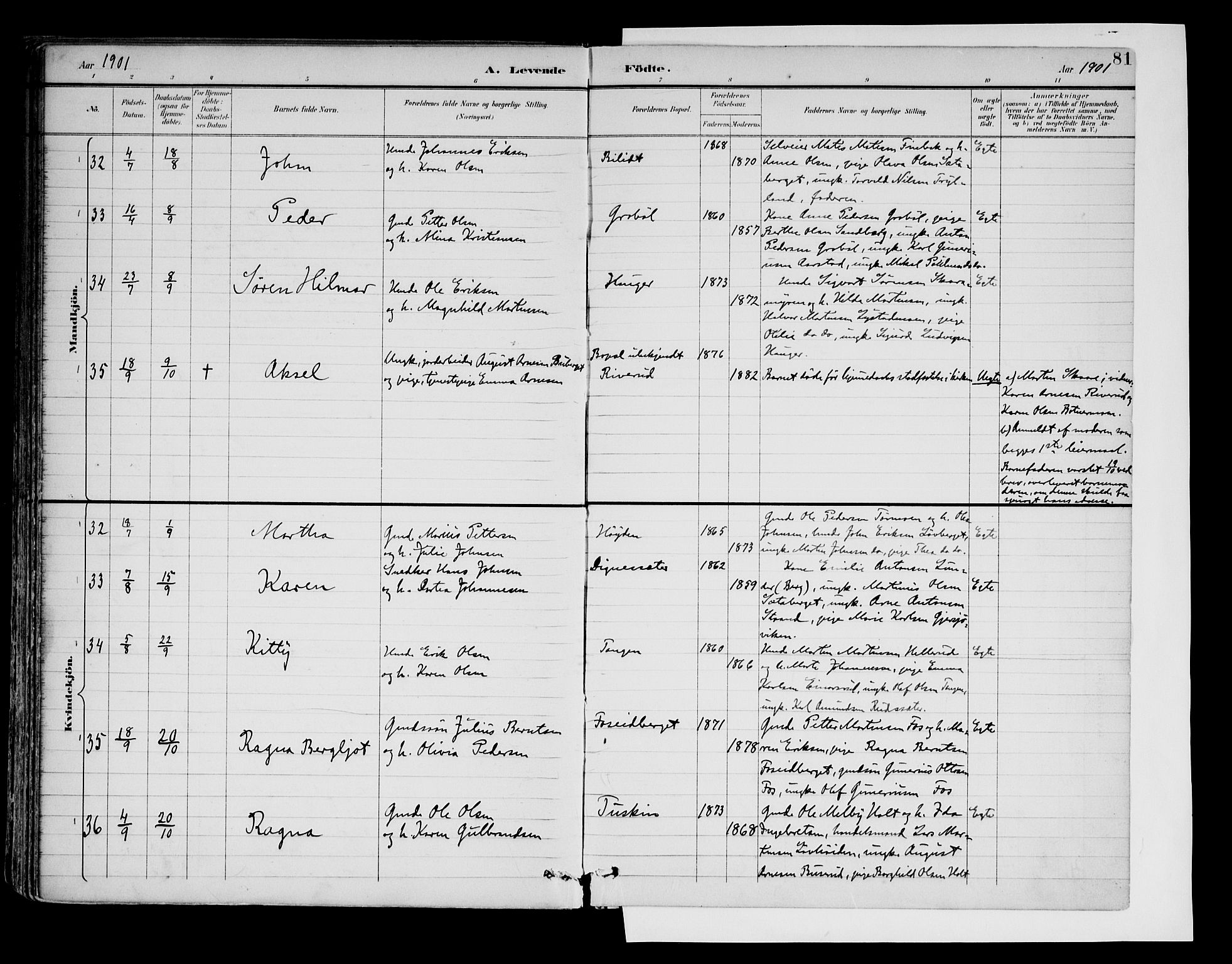 Brandval prestekontor, AV/SAH-PREST-034/H/Ha/Haa/L0003: Ministerialbok nr. 3, 1894-1909, s. 81
