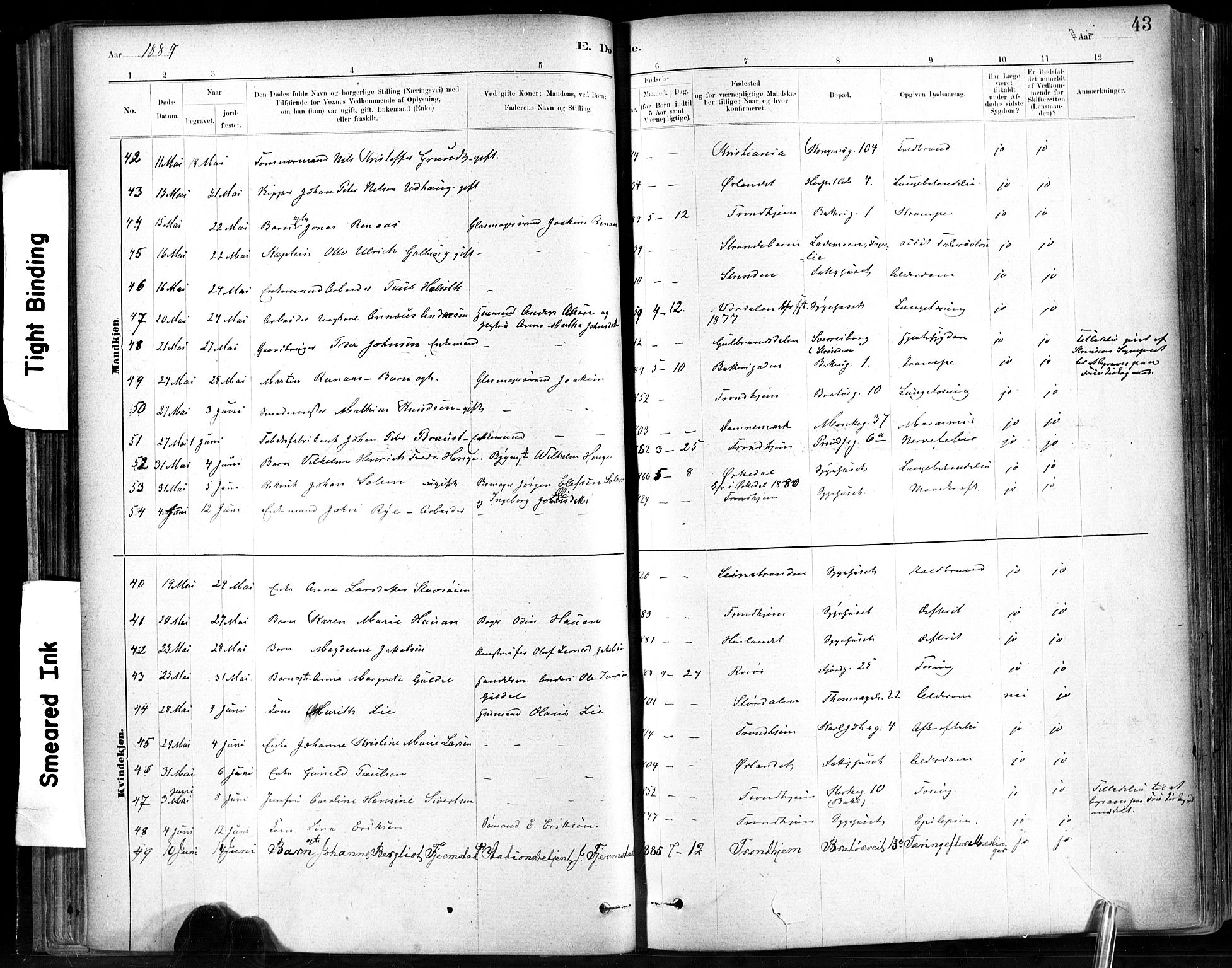 Ministerialprotokoller, klokkerbøker og fødselsregistre - Sør-Trøndelag, SAT/A-1456/602/L0120: Ministerialbok nr. 602A18, 1880-1913, s. 43