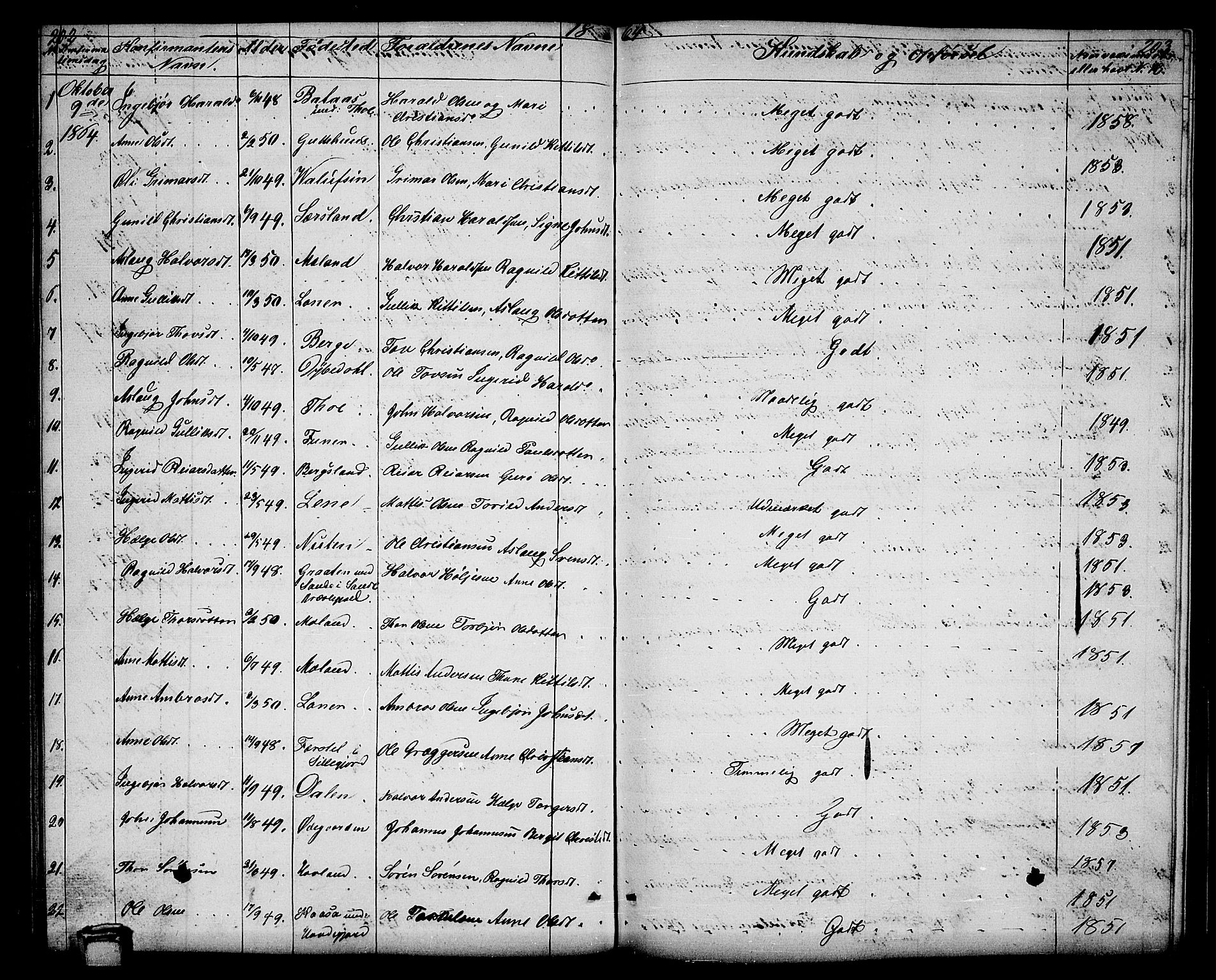 Hjartdal kirkebøker, AV/SAKO-A-270/G/Ga/L0002: Klokkerbok nr. I 2, 1854-1888, s. 202-203