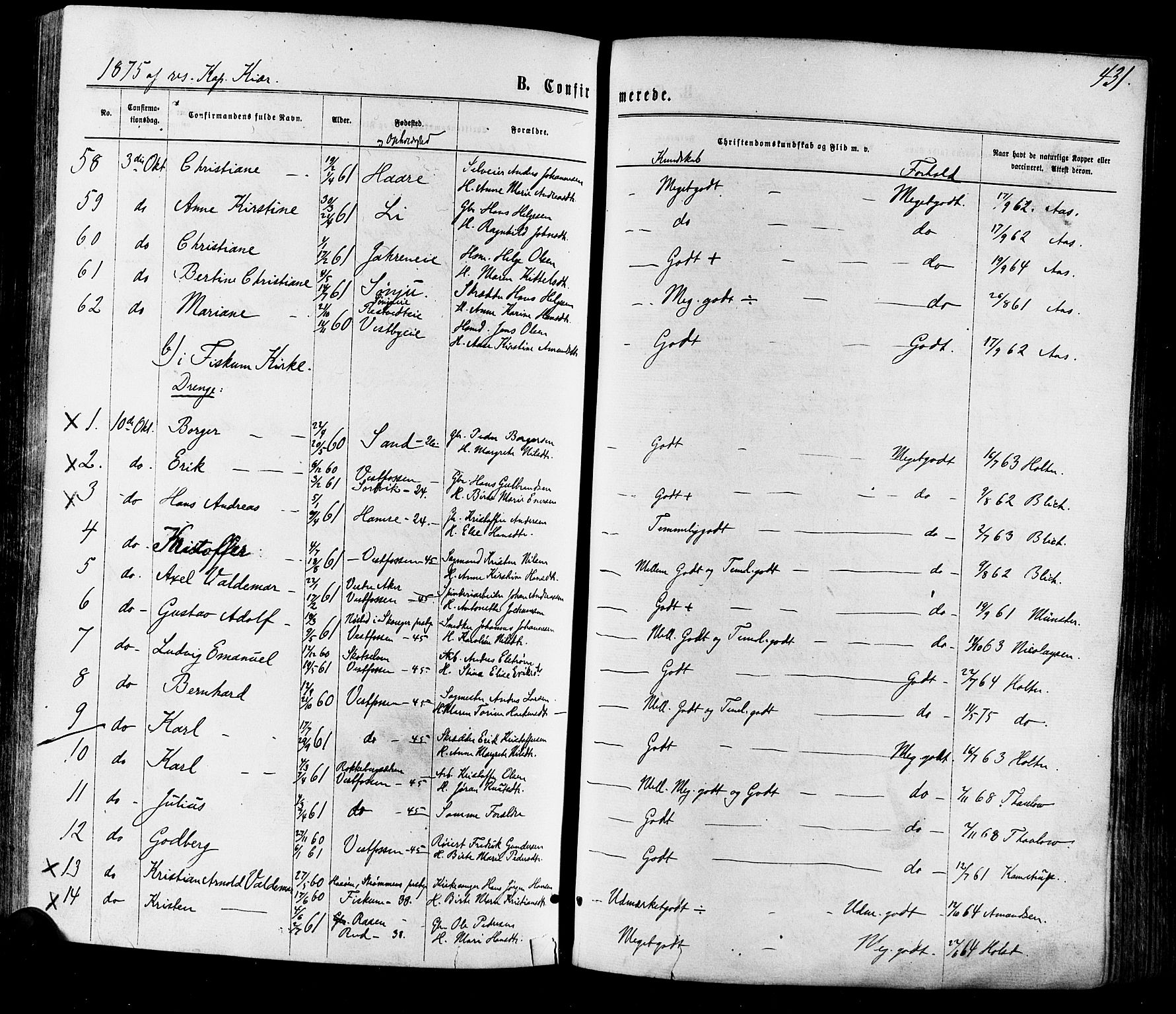Eiker kirkebøker, AV/SAKO-A-4/F/Fa/L0017: Ministerialbok nr. I 17, 1869-1877, s. 431