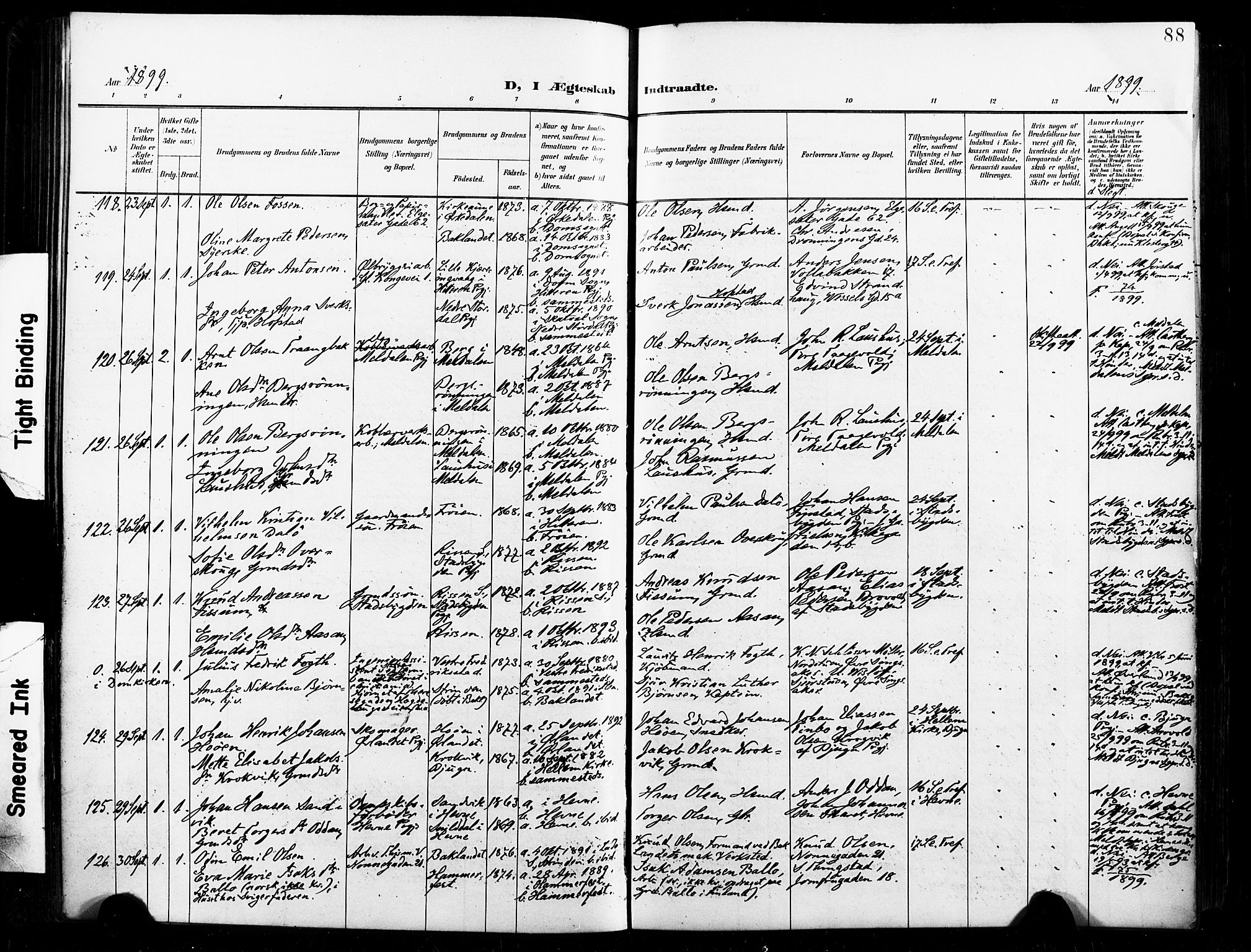 Ministerialprotokoller, klokkerbøker og fødselsregistre - Sør-Trøndelag, SAT/A-1456/604/L0198: Ministerialbok nr. 604A19, 1893-1900, s. 88