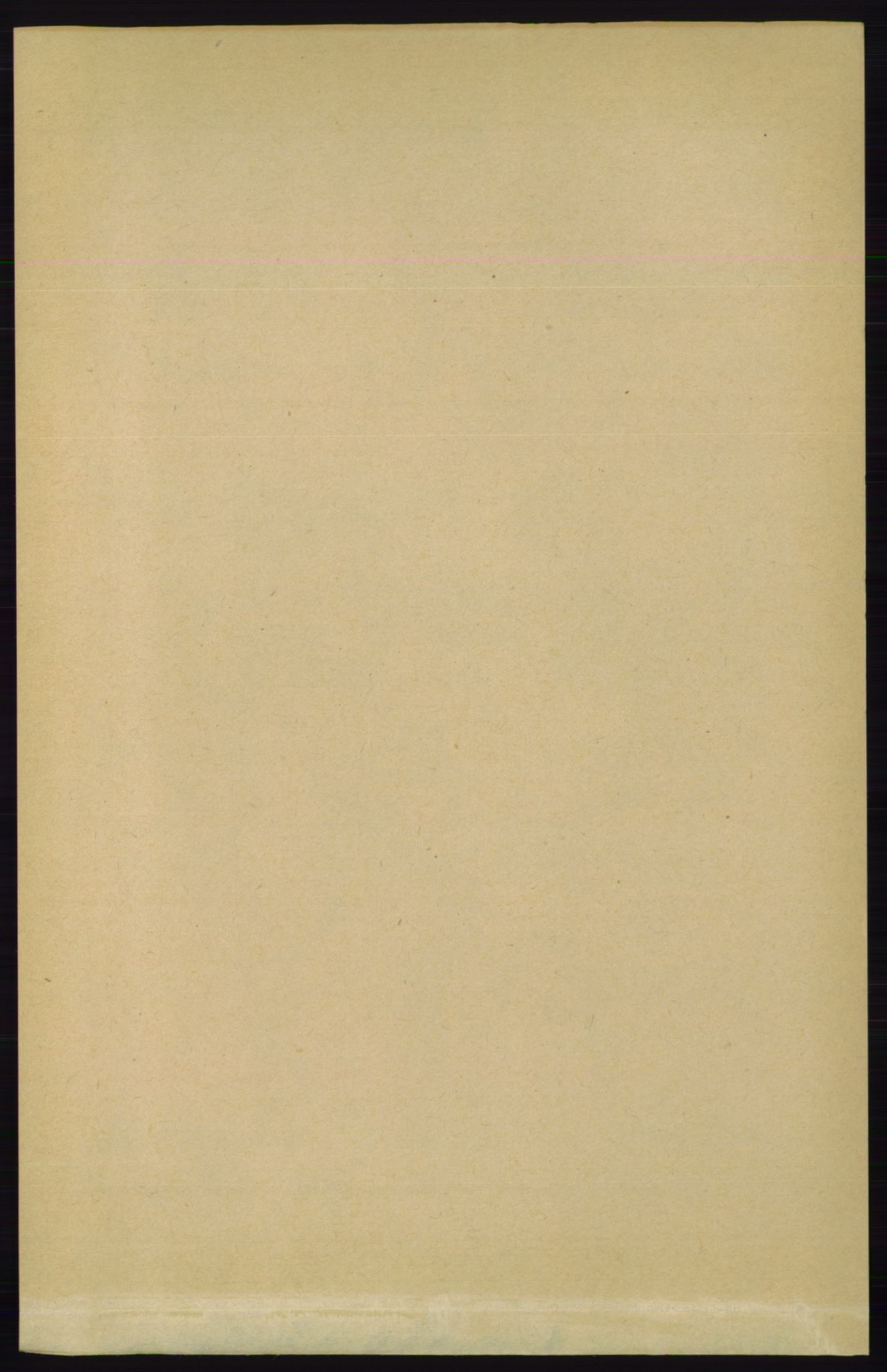 RA, Folketelling 1891 for 0913 Søndeled herred, 1891, s. 3063