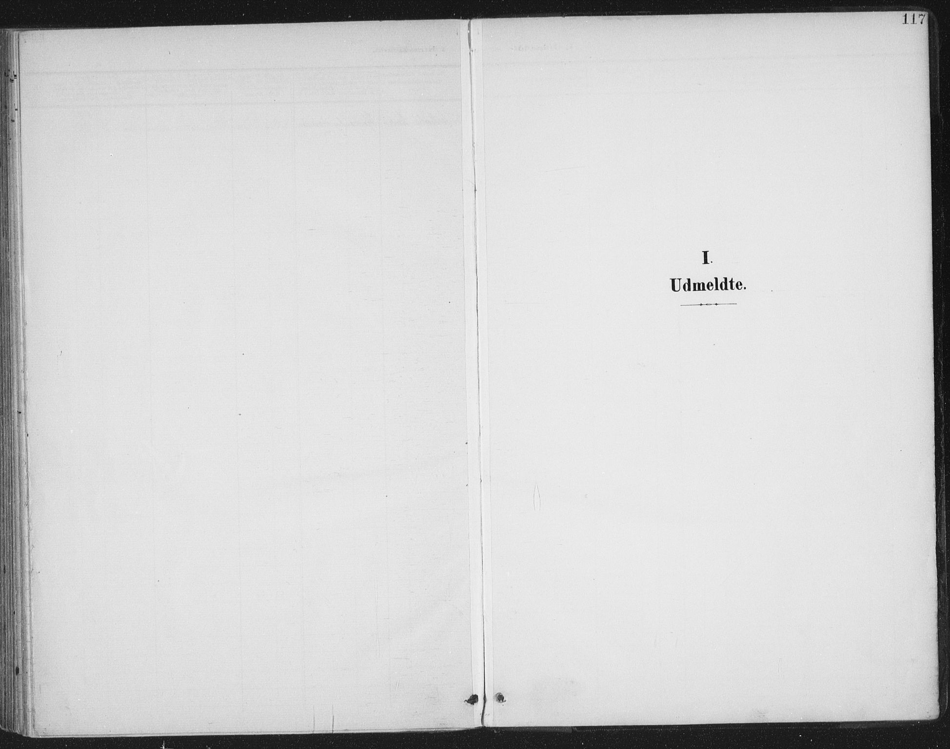 Ministerialprotokoller, klokkerbøker og fødselsregistre - Møre og Romsdal, AV/SAT-A-1454/570/L0833: Ministerialbok nr. 570A07, 1901-1914, s. 117