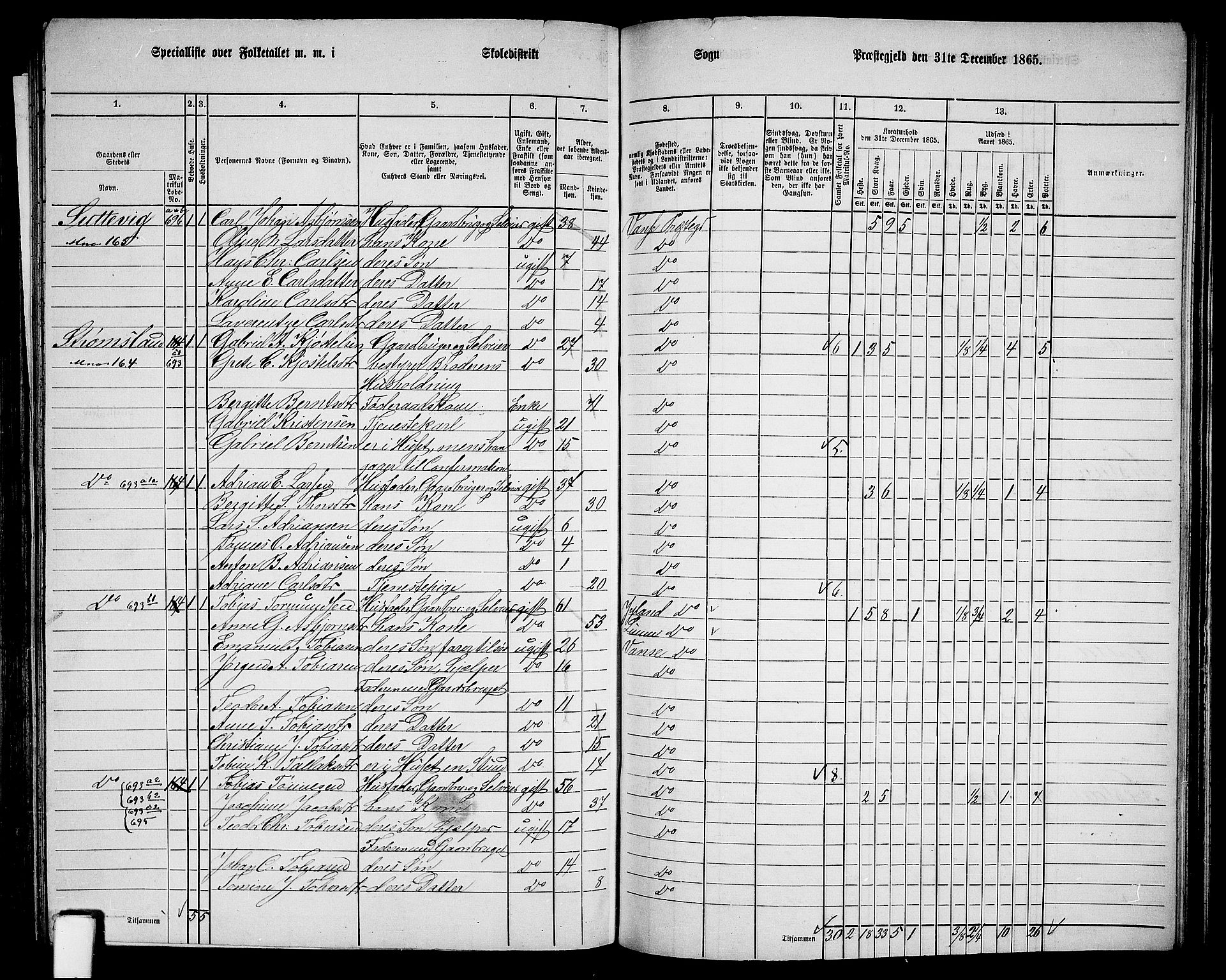 RA, Folketelling 1865 for 1041L Vanse prestegjeld, Vanse sokn og Farsund landsokn, 1865, s. 196