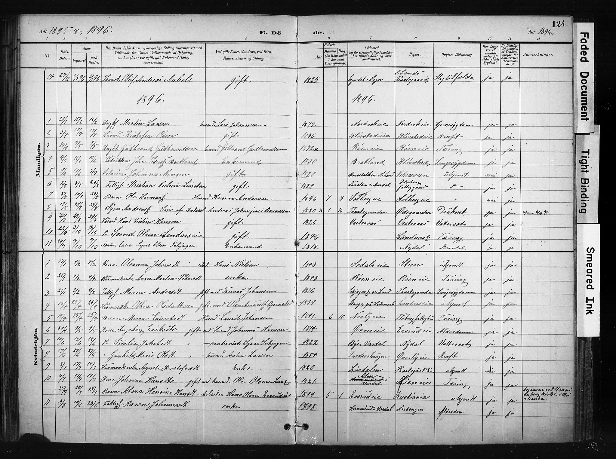 Søndre Land prestekontor, AV/SAH-PREST-122/K/L0004: Ministerialbok nr. 4, 1895-1904, s. 124