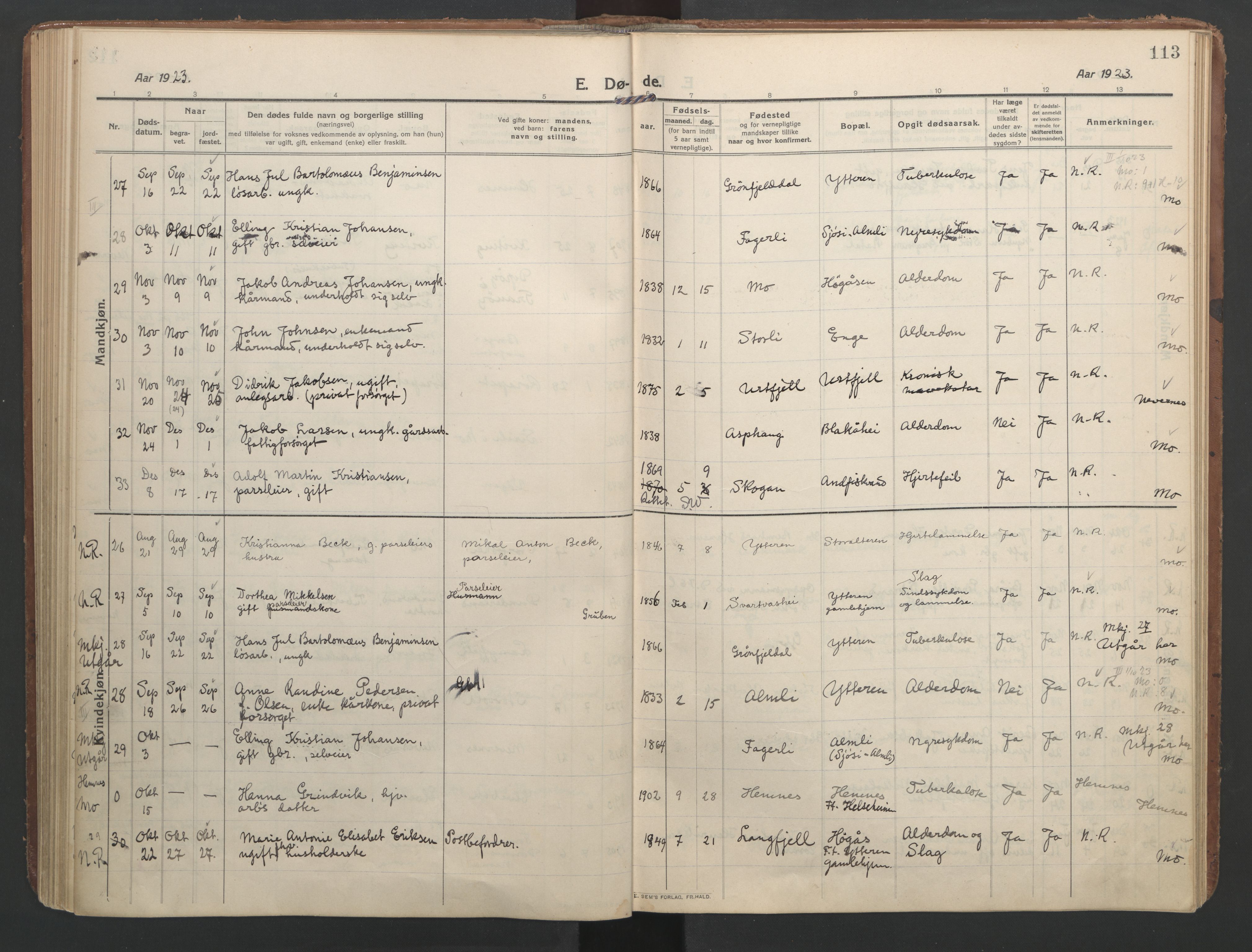 Ministerialprotokoller, klokkerbøker og fødselsregistre - Nordland, AV/SAT-A-1459/827/L0405: Ministerialbok nr. 827A17, 1912-1925, s. 113