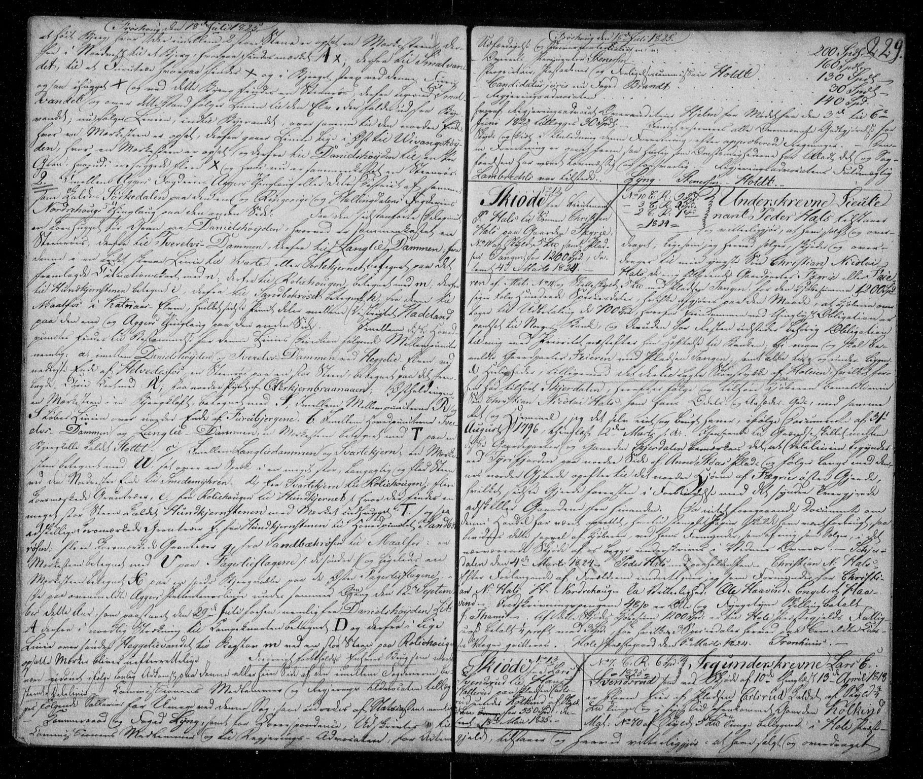 Ringerike sorenskriveri, SAKO/A-105/G/Ga/Gaa/L0019: Pantebok nr. 19, 1821-1825, s. 229