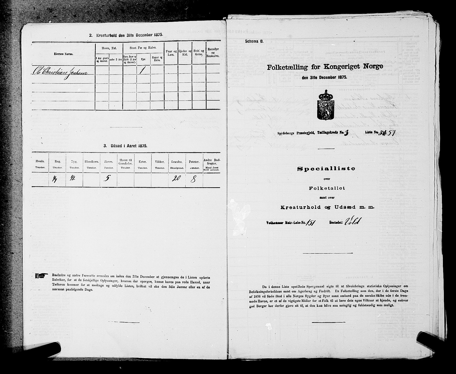 RA, Folketelling 1875 for 0123P Spydeberg prestegjeld, 1875, s. 409